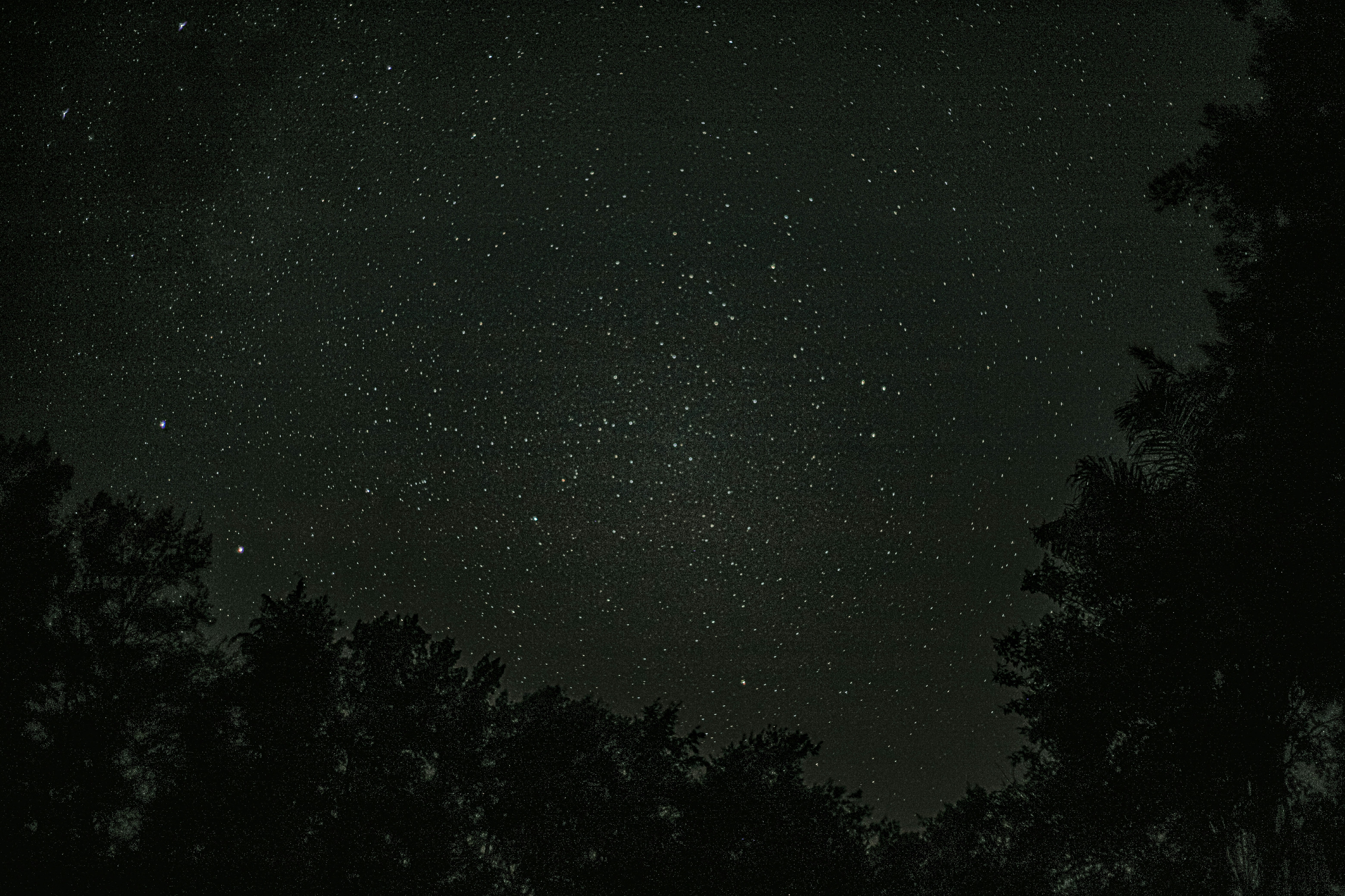 Photo by ivanmezzetti