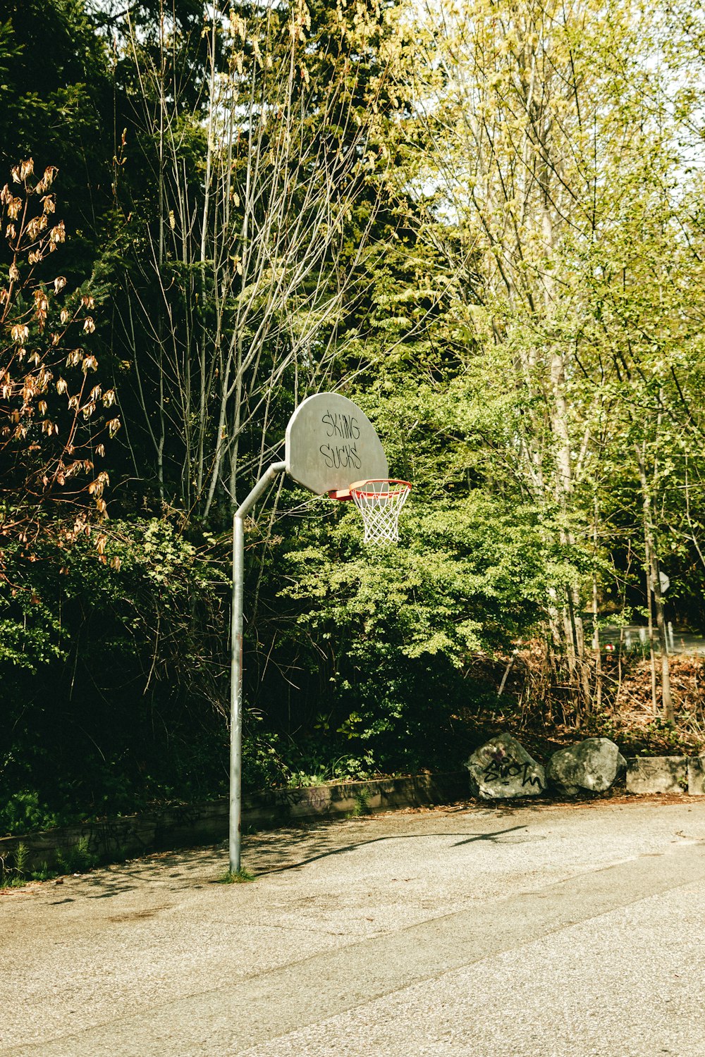 a basketball hoop in a park