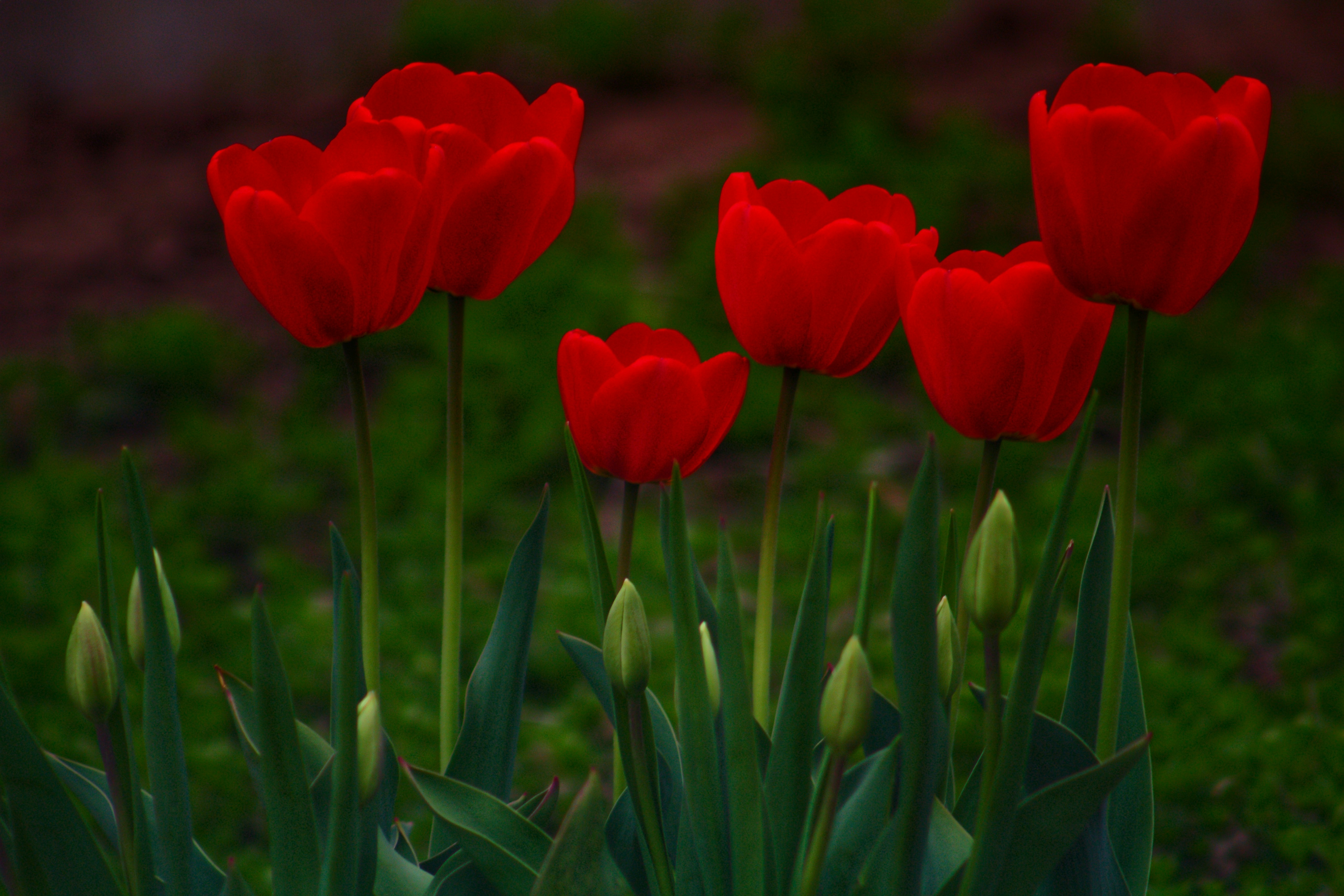 Photo by joshua_hoehne