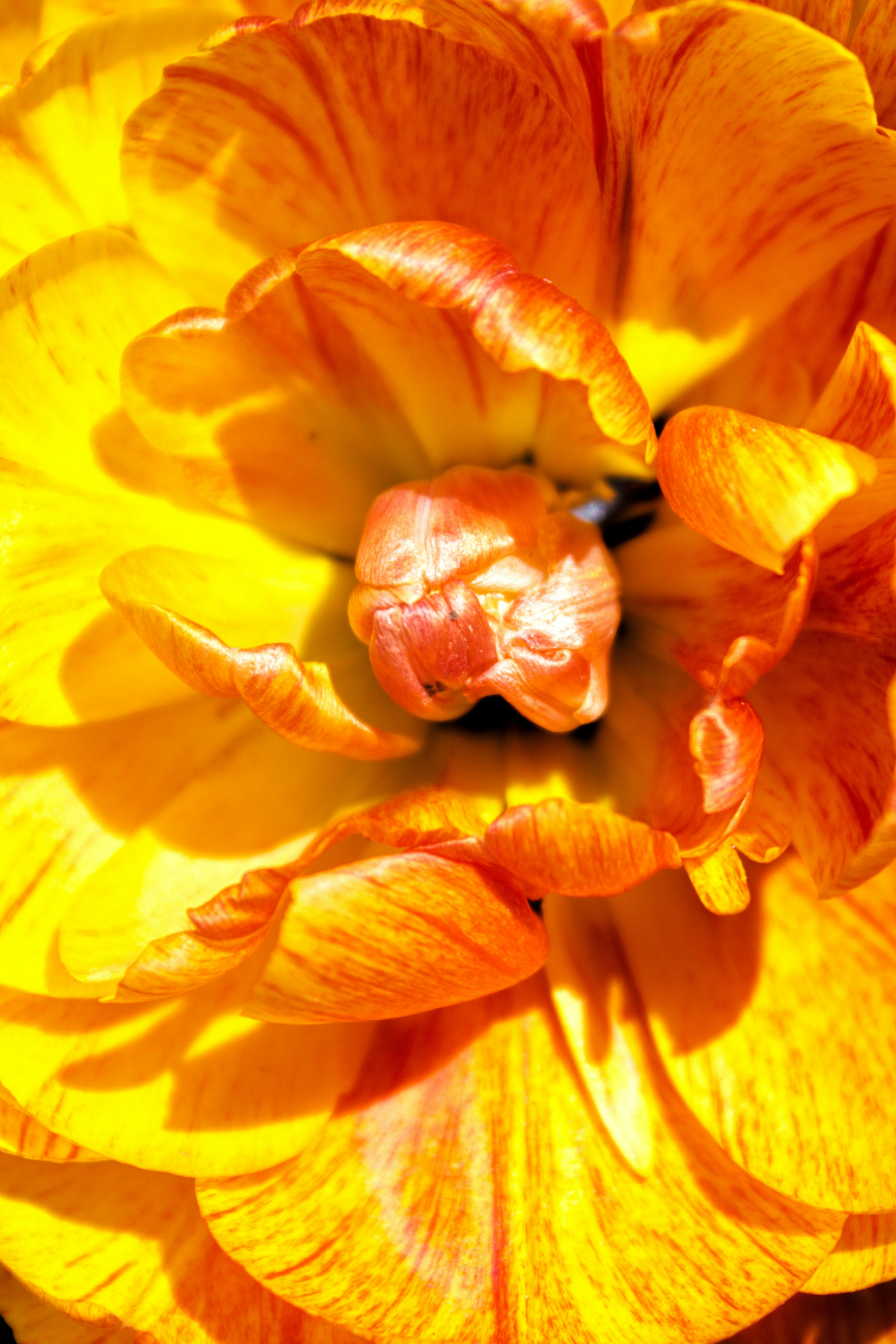 Photo by joshua_hoehne