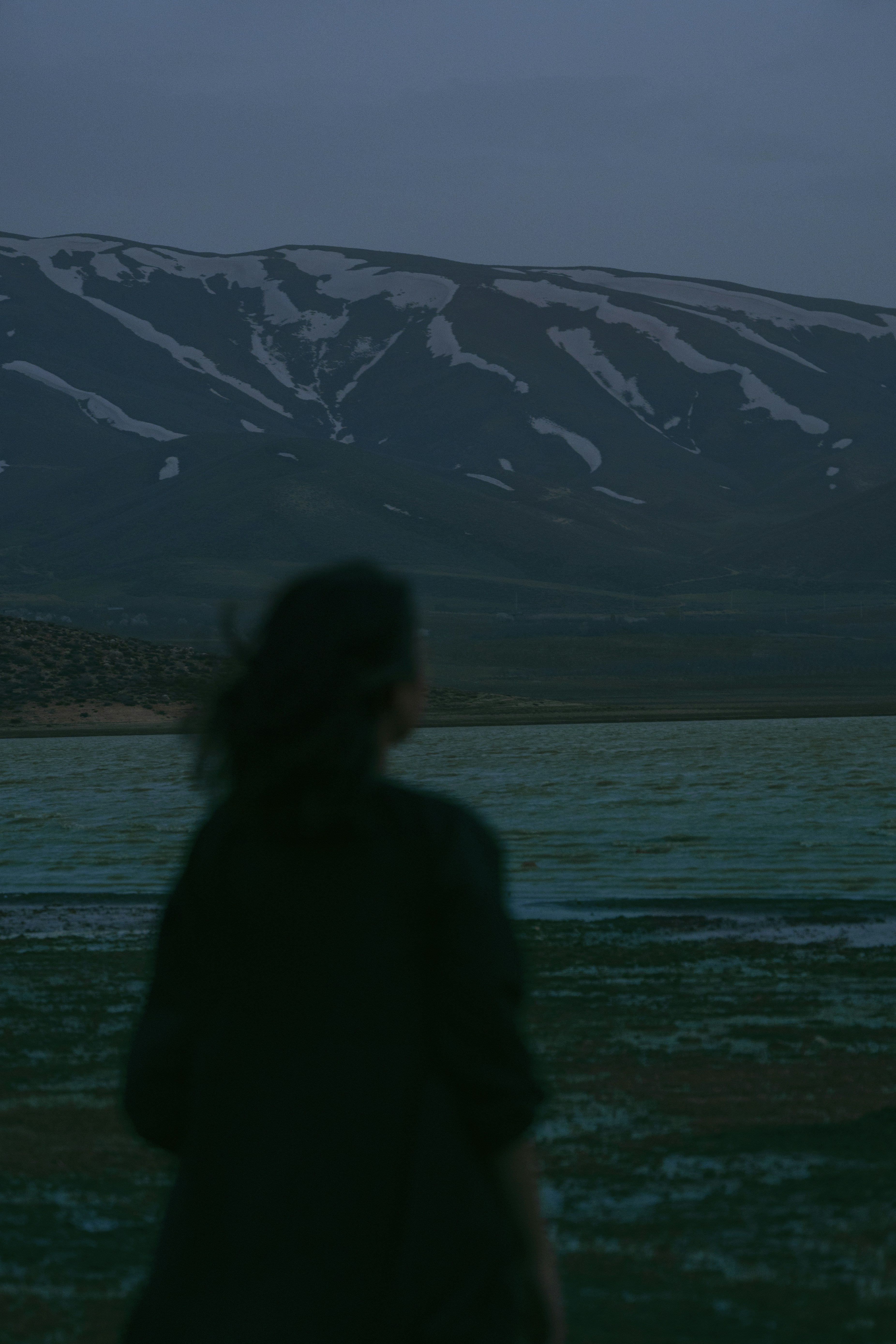 Photo by alikarimibn