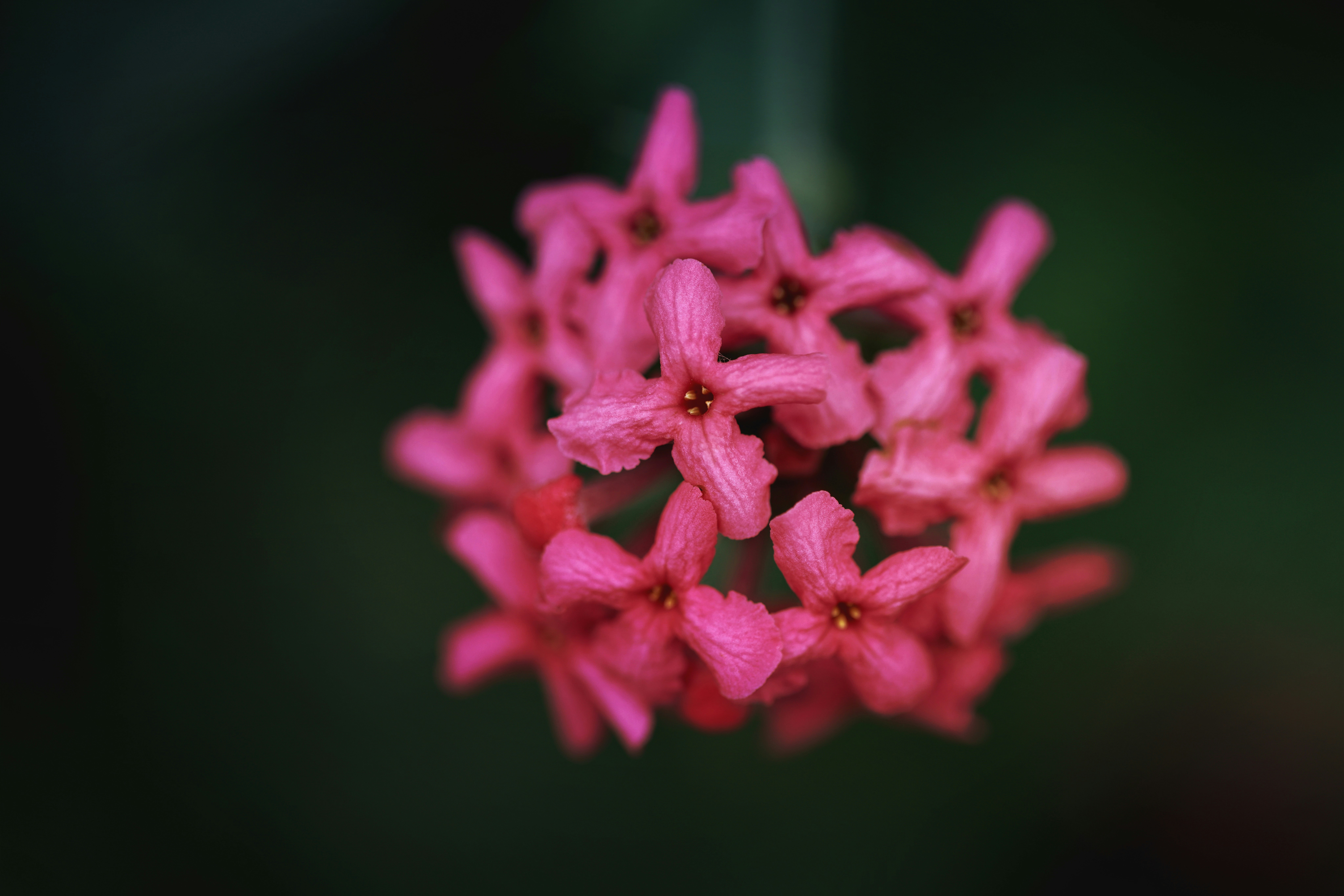 Photo by dickenslin76