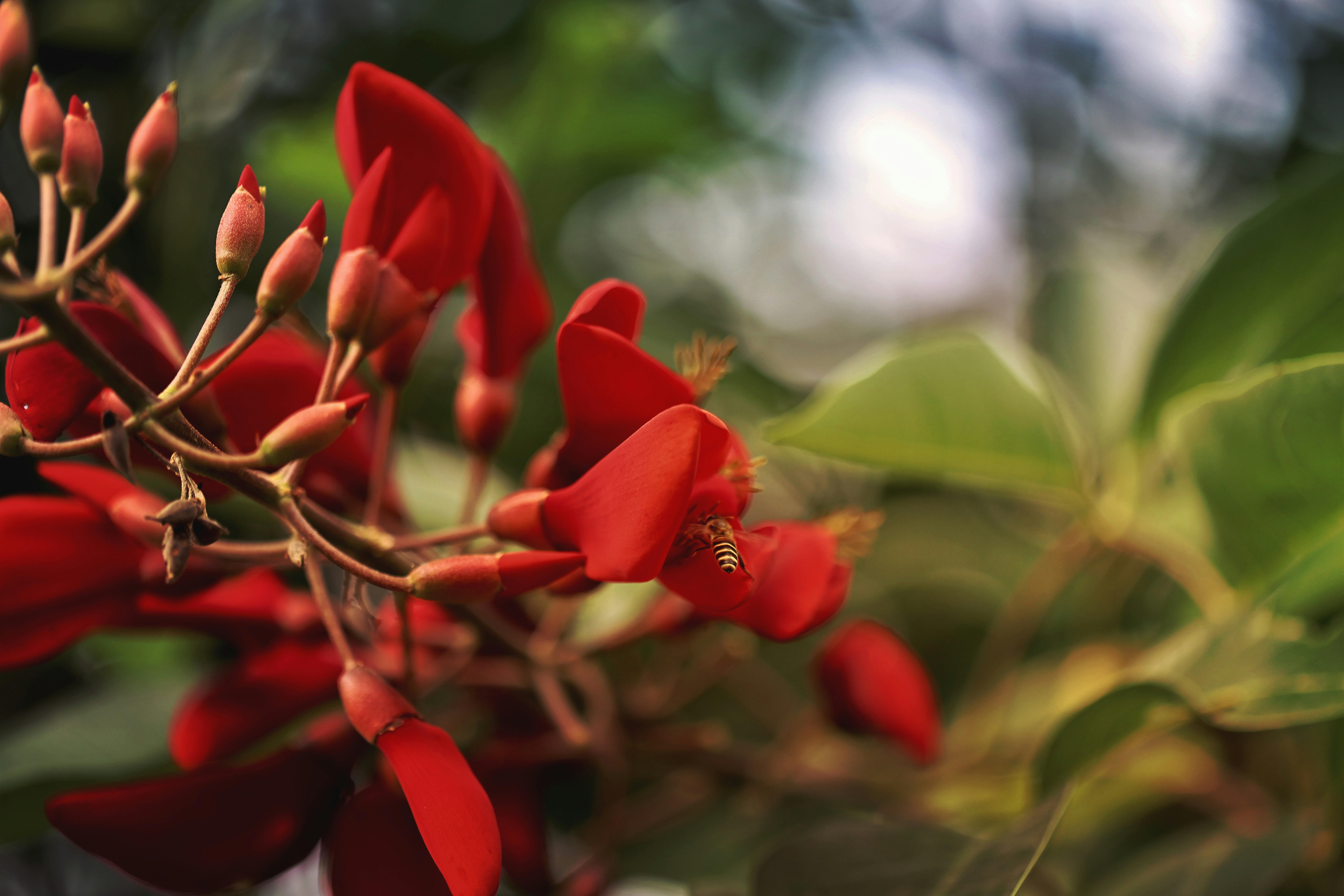 Photo by dickenslin76