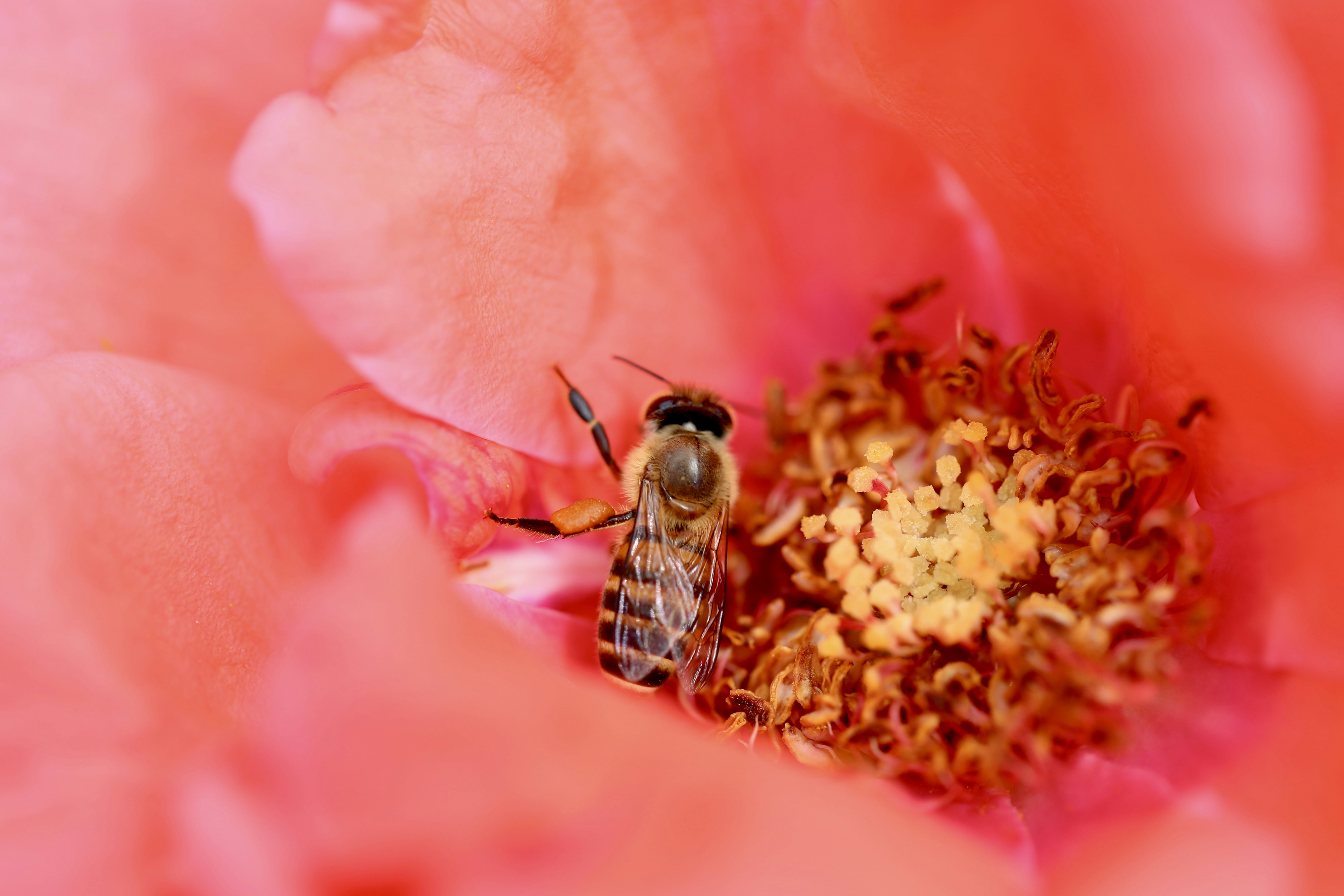 Photo by dickenslin76