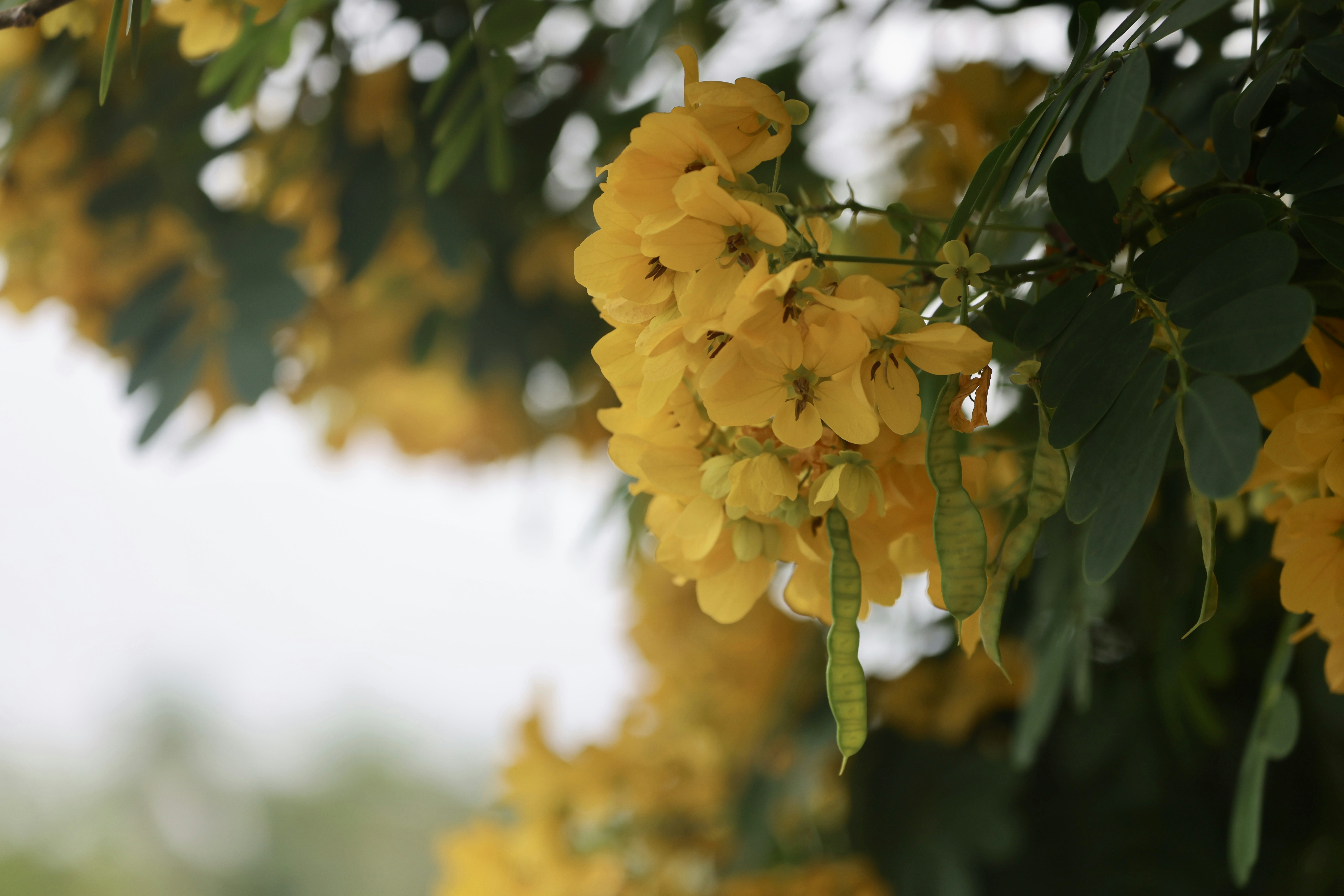 Photo by dickenslin76