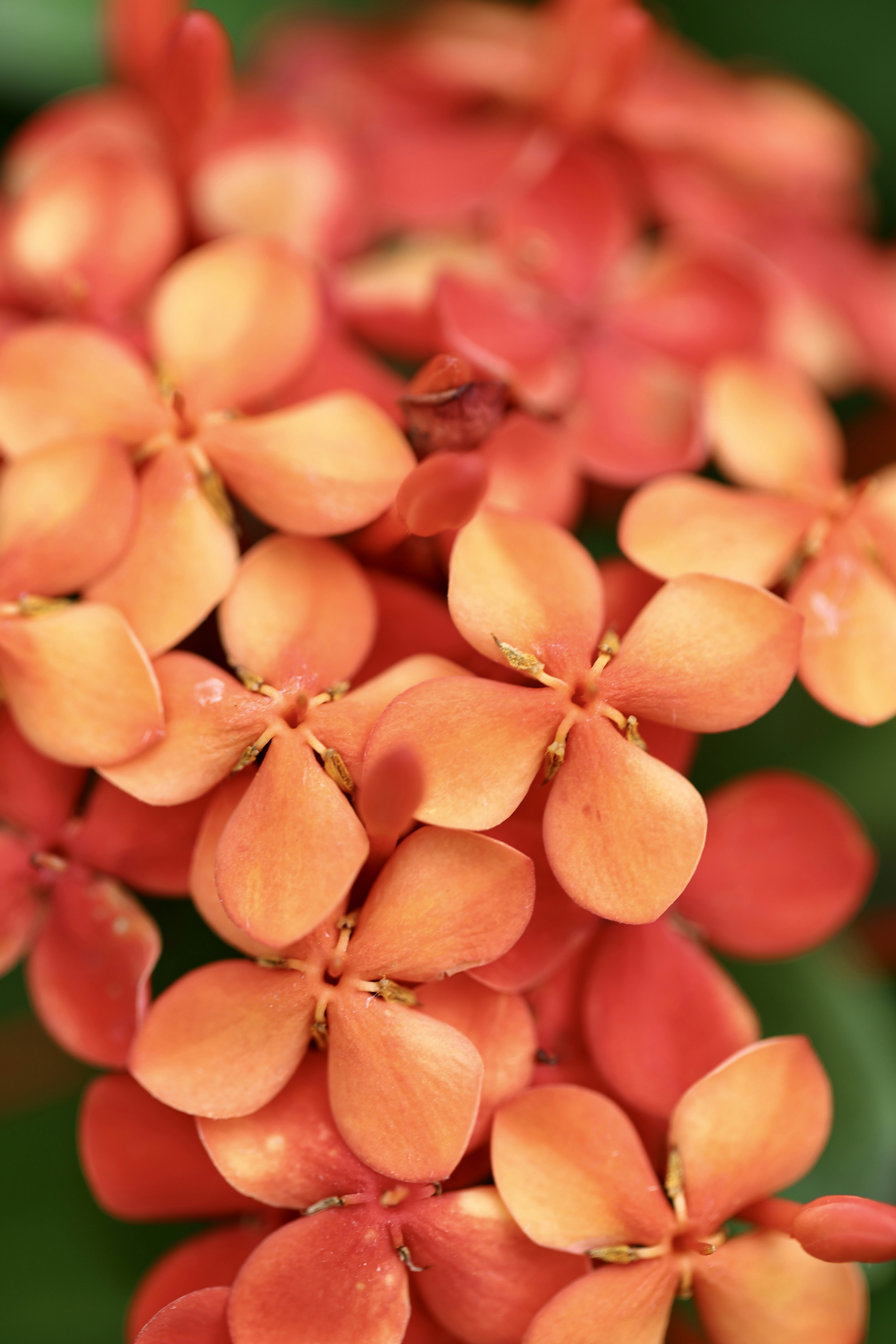 Photo by dickenslin76