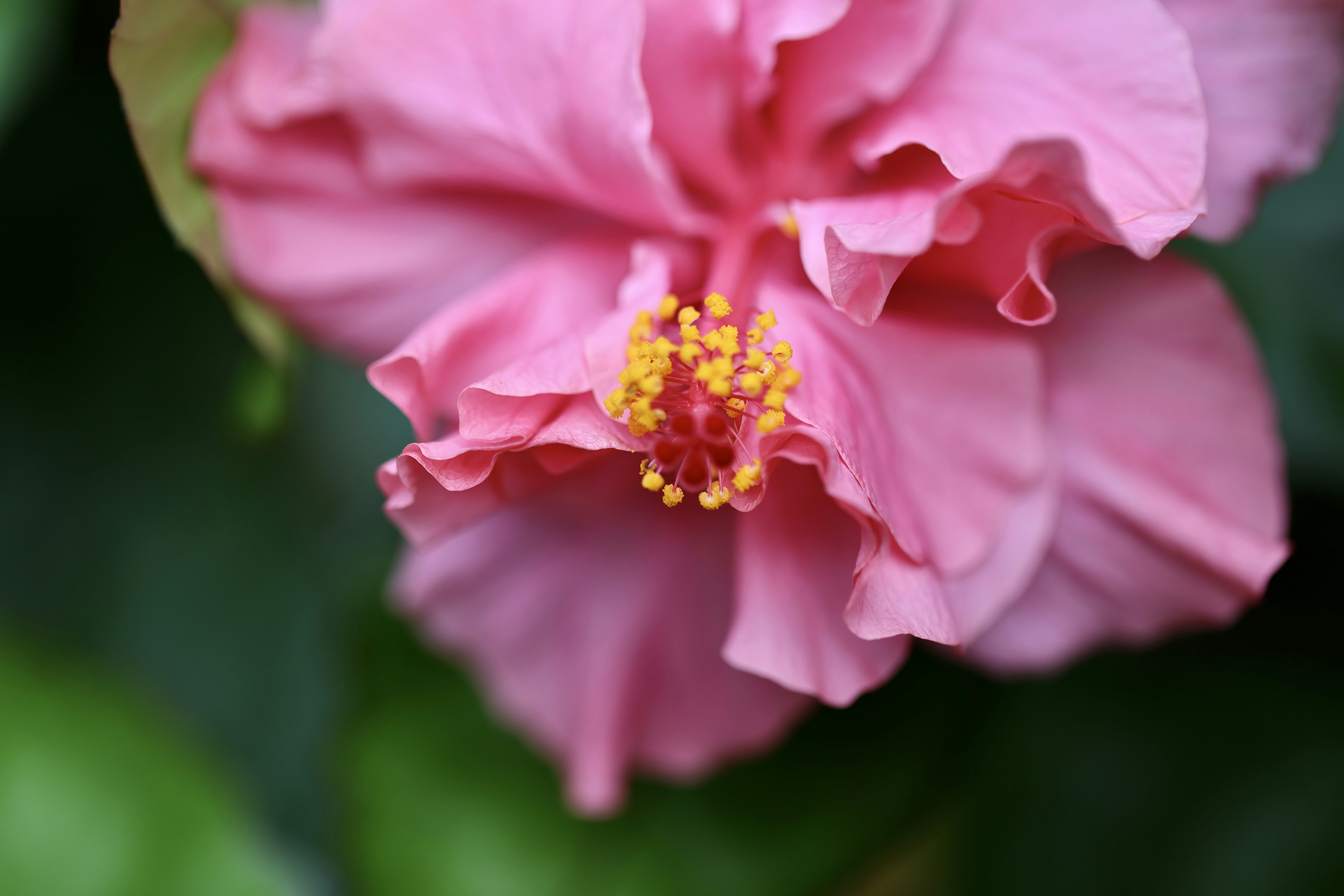 Photo by dickenslin76