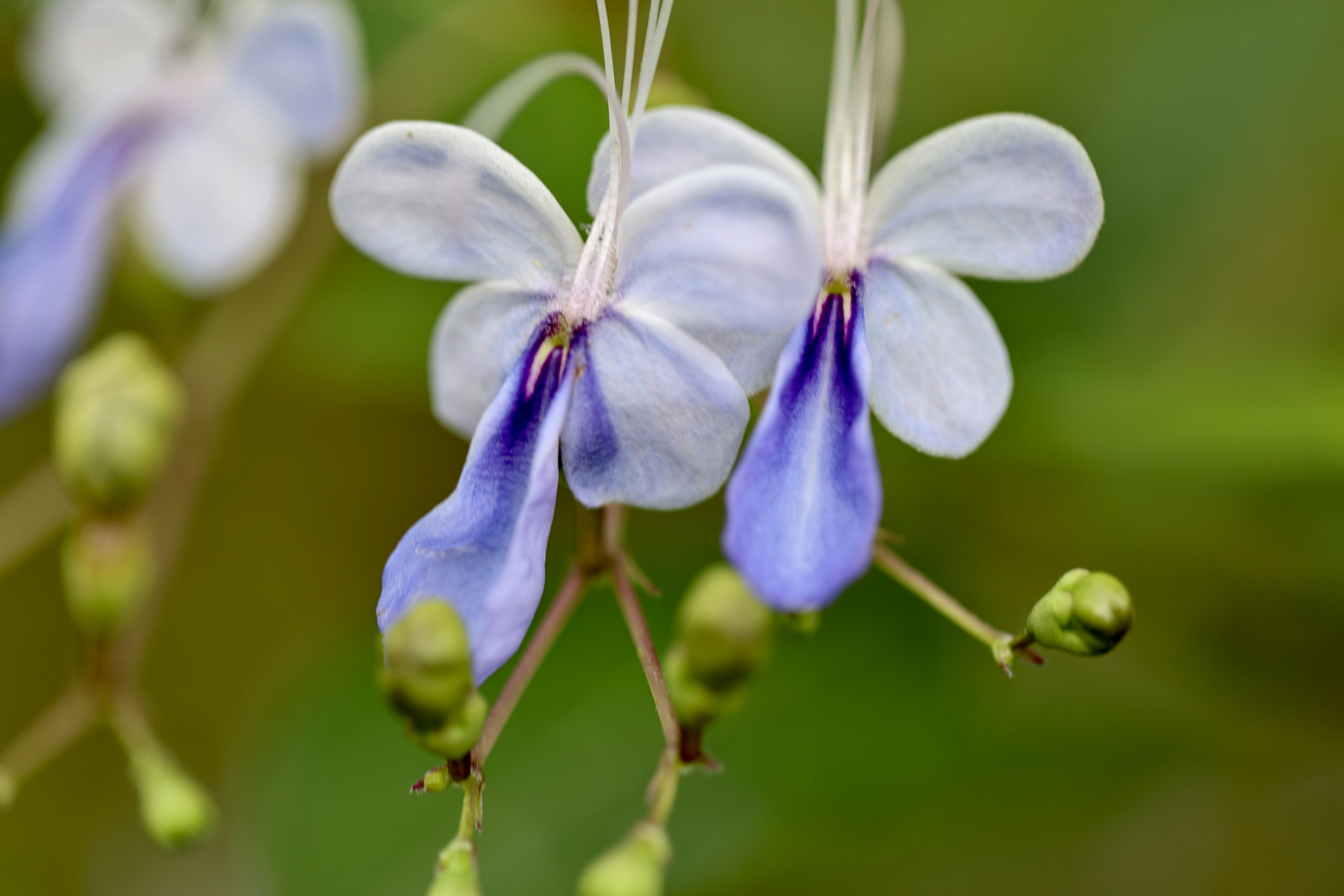 Photo by dickenslin76