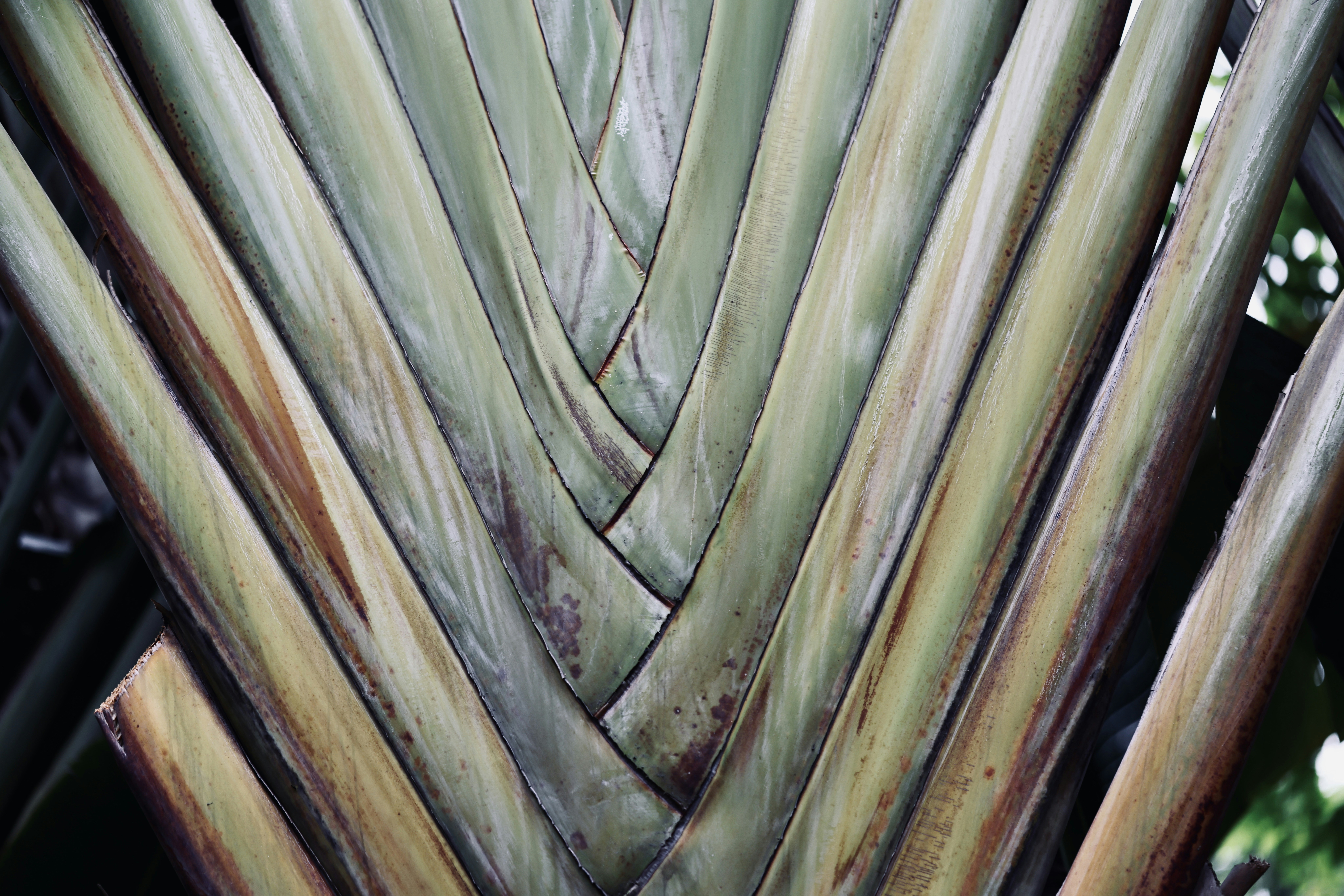 Photo by dickenslin76