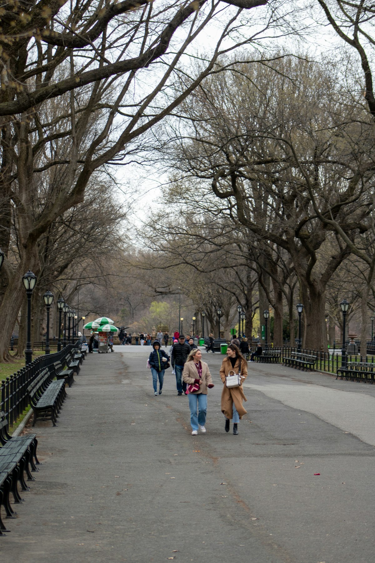 People walking on a tree-lined path through a landscaped park area
