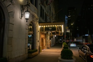 A dimly lit street at night with an elegant hotel entrance. The building features ornate architecture with decorative light fixtures illuminating the sidewalk. A series of potted plants line the pathway leading to the entrance, which is adorned with glowing marquee lights. Several cars are parked along the street, and there is a subtle urban skyline in the background.