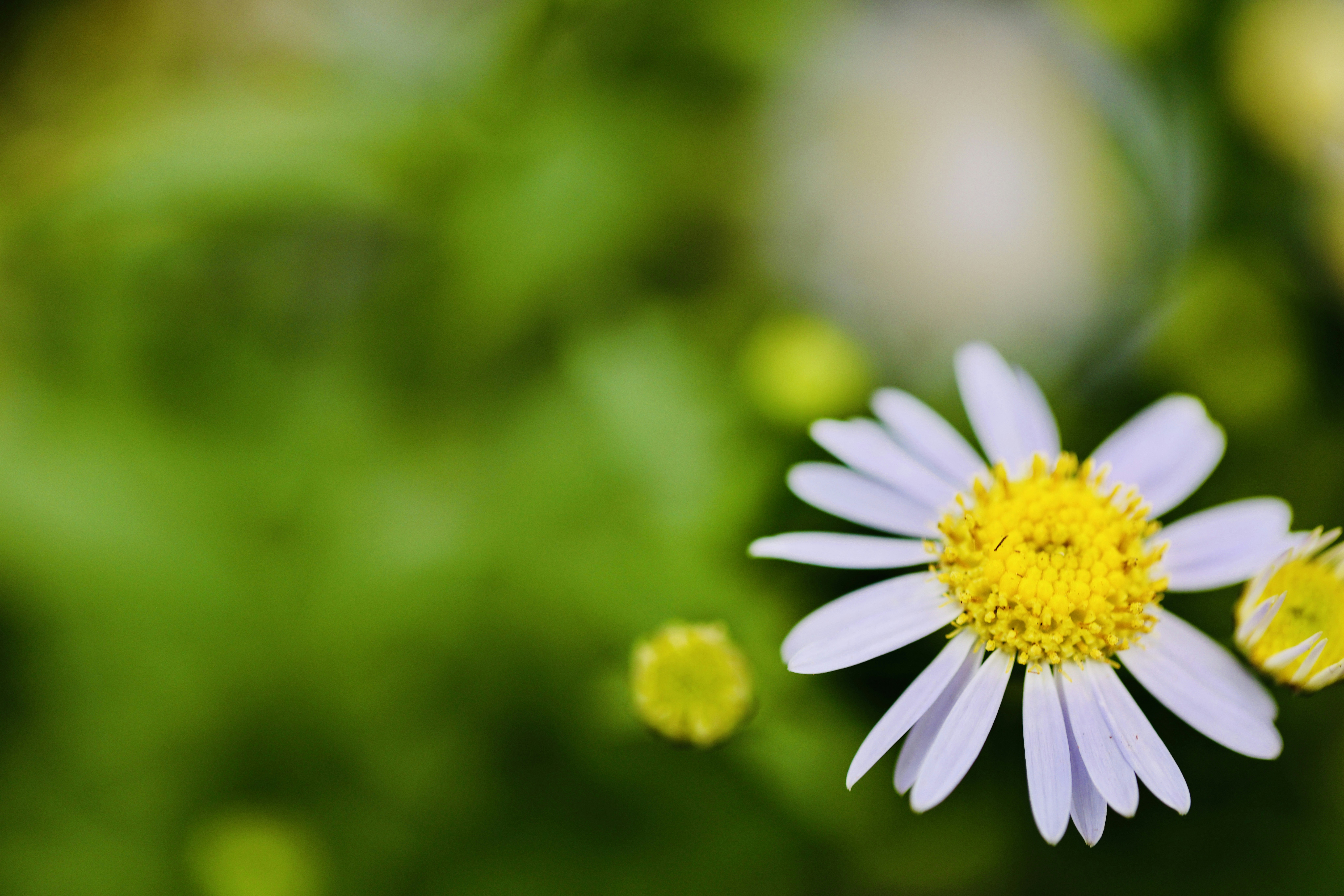 Photo by dickenslin76