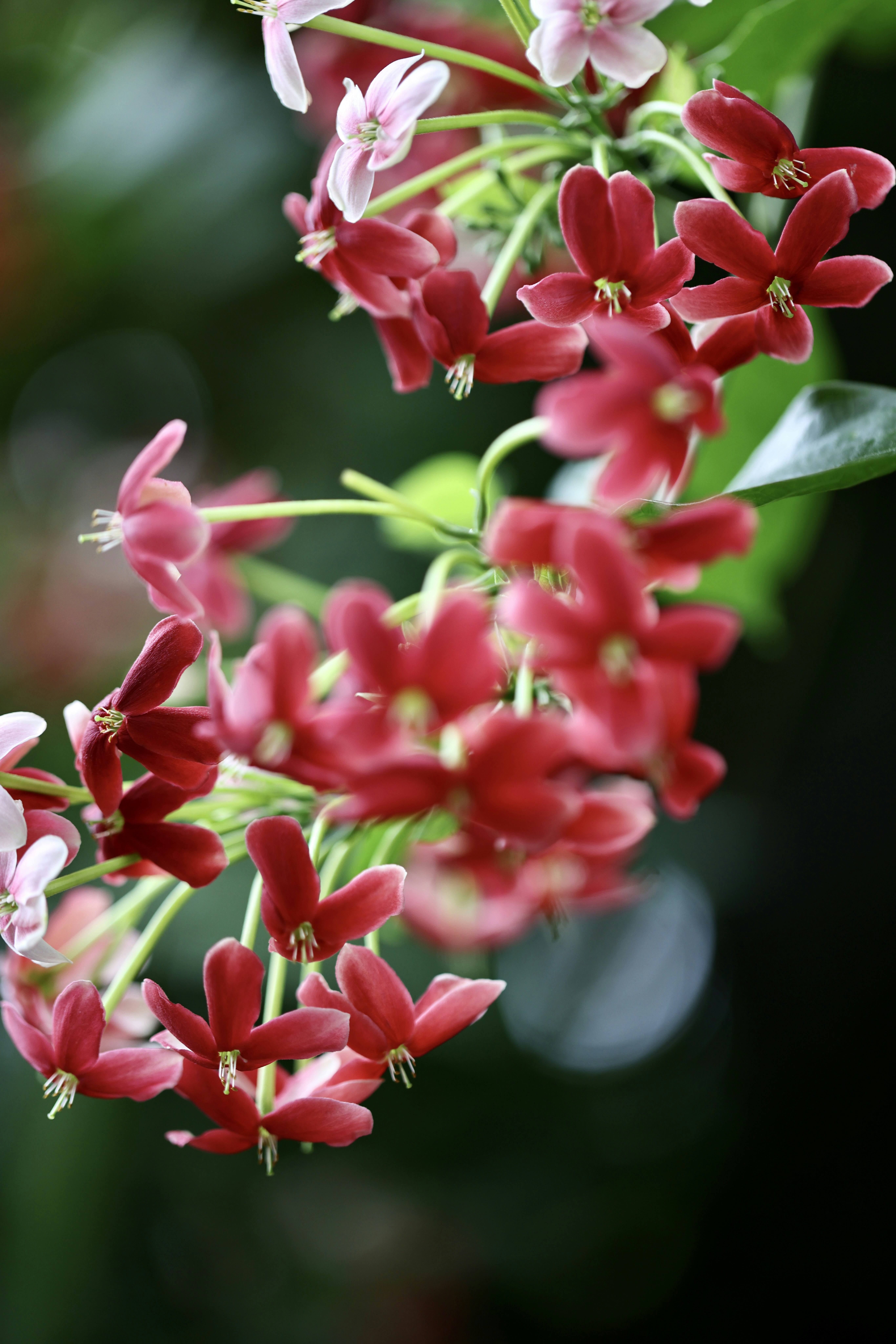 Photo by dickenslin76