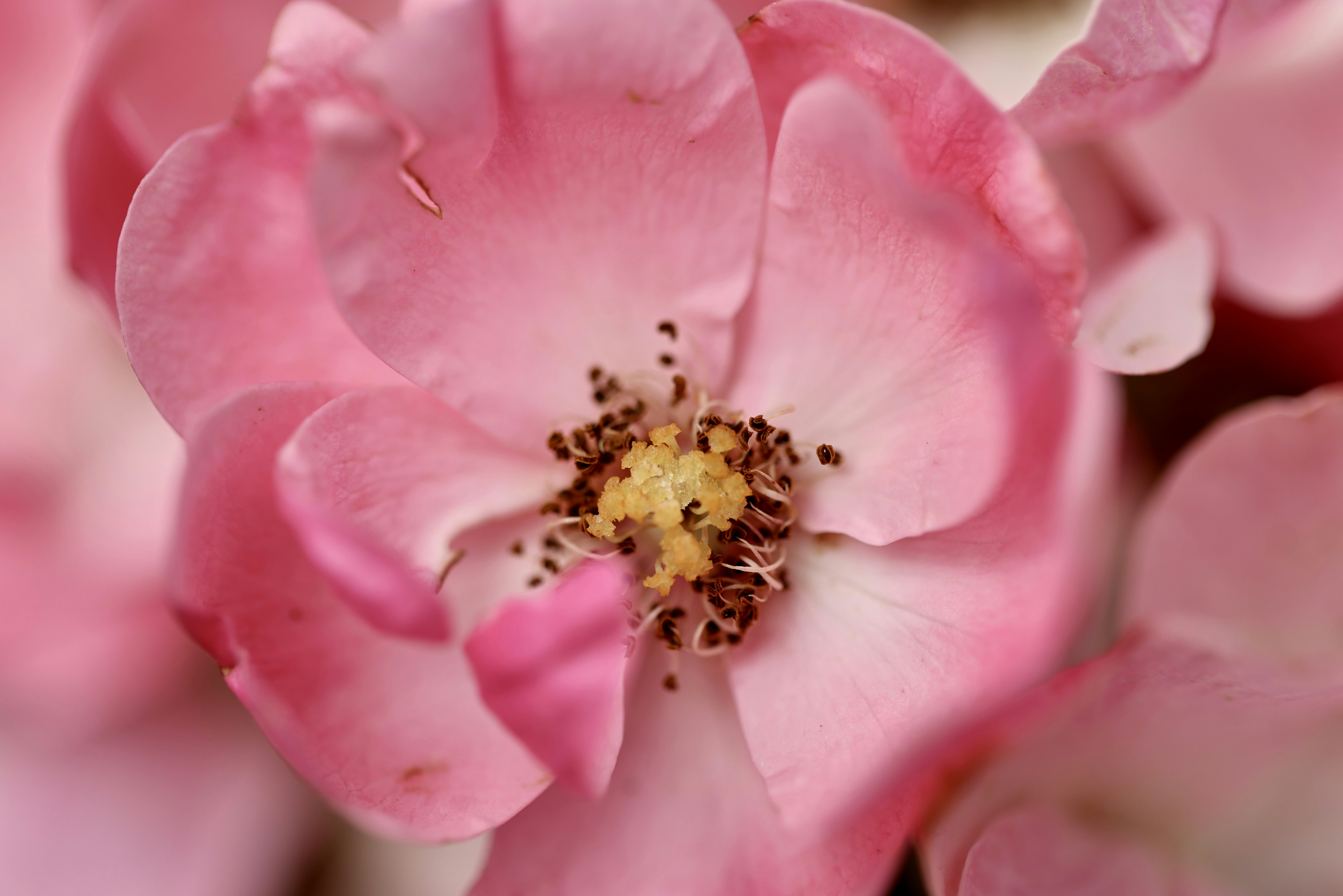 Photo by dickenslin76