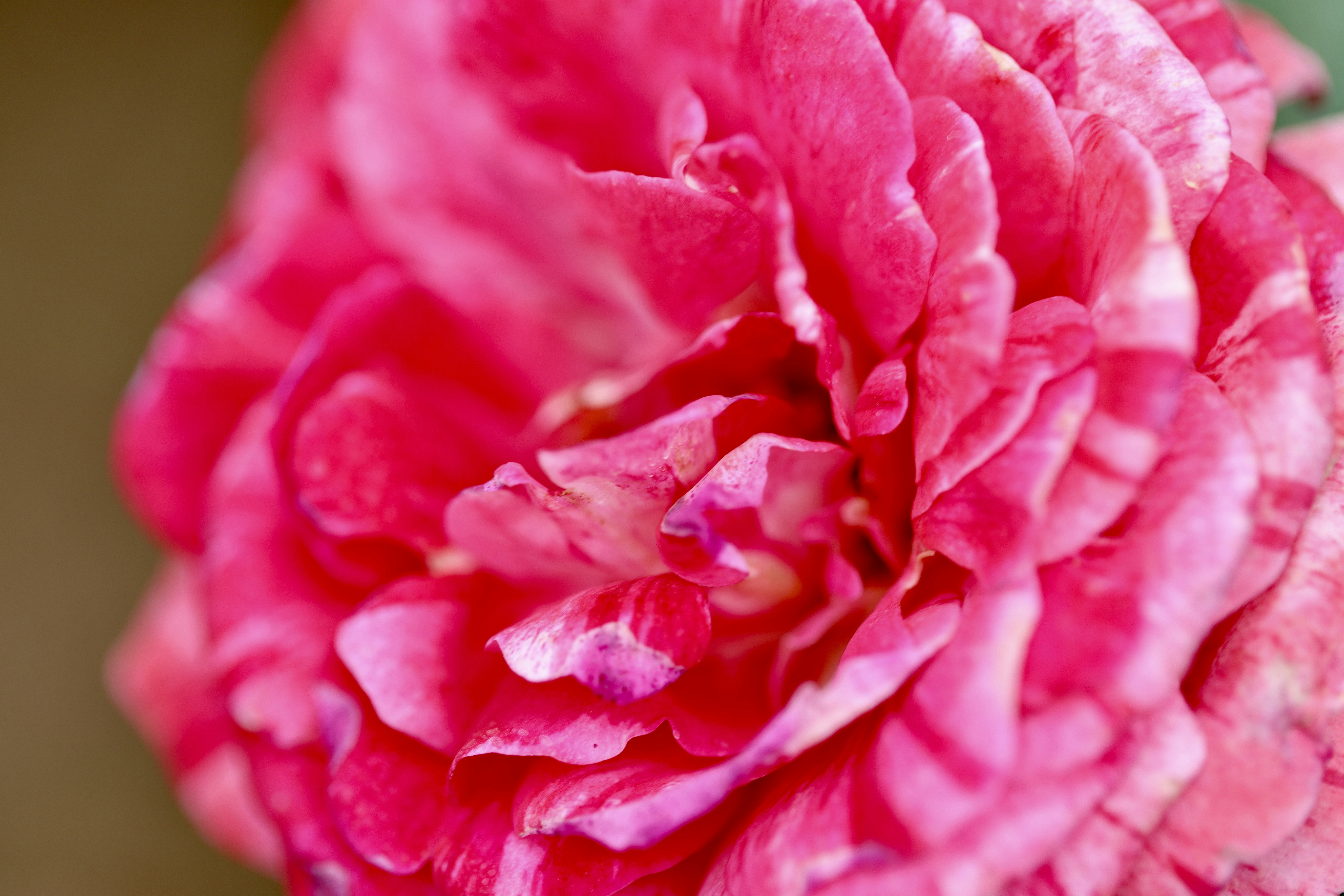 Photo by dickenslin76