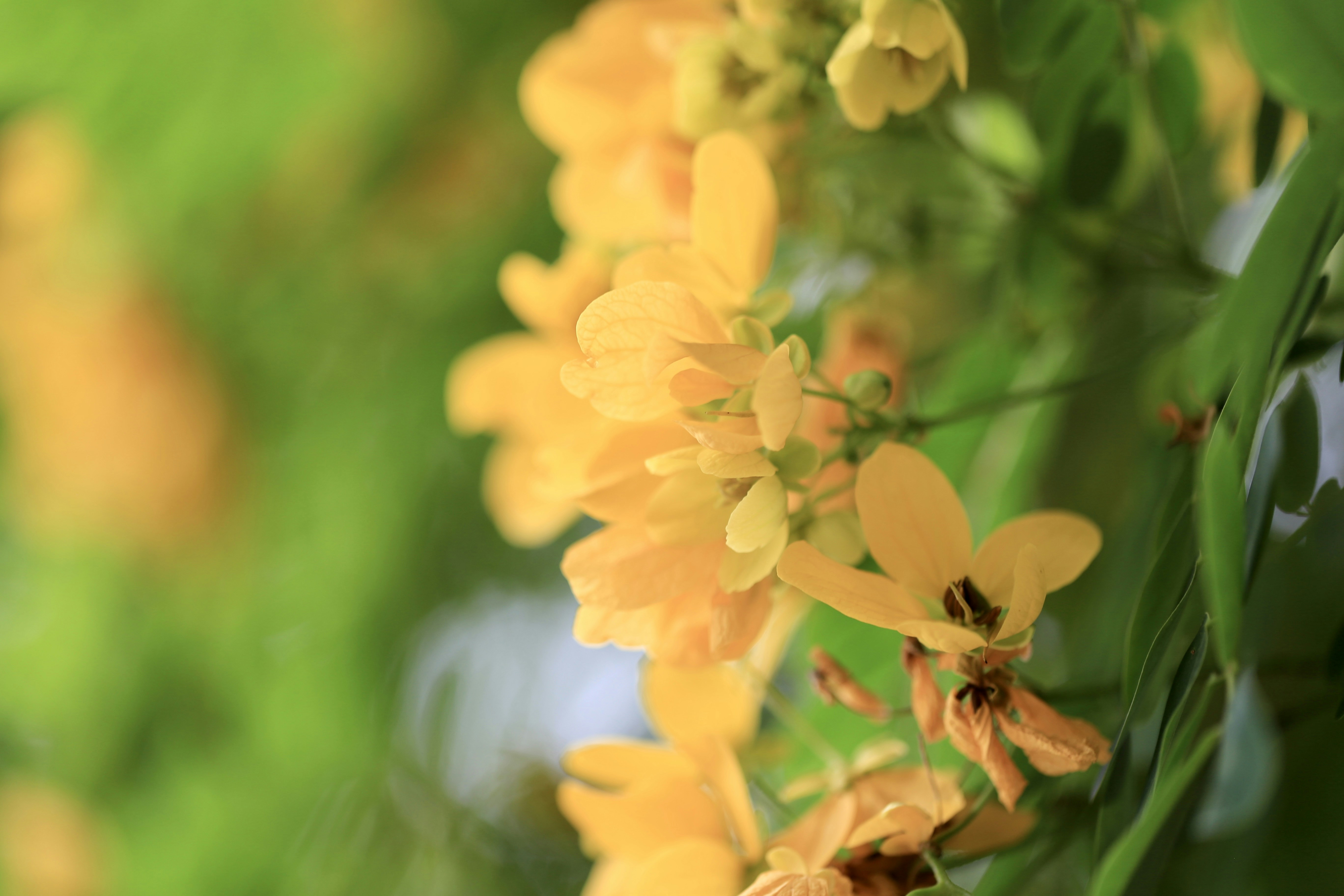 Photo by dickenslin76