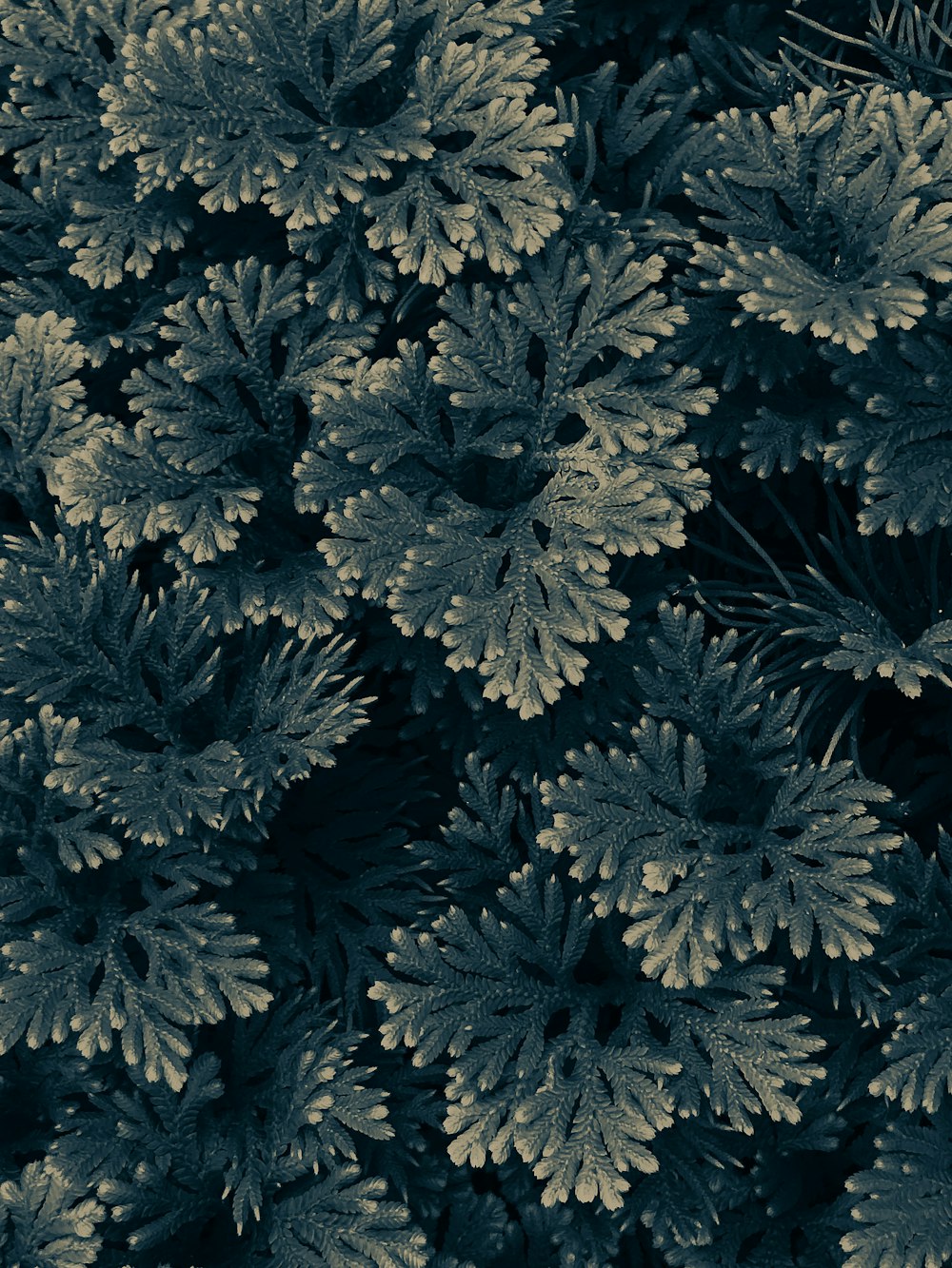 background pattern