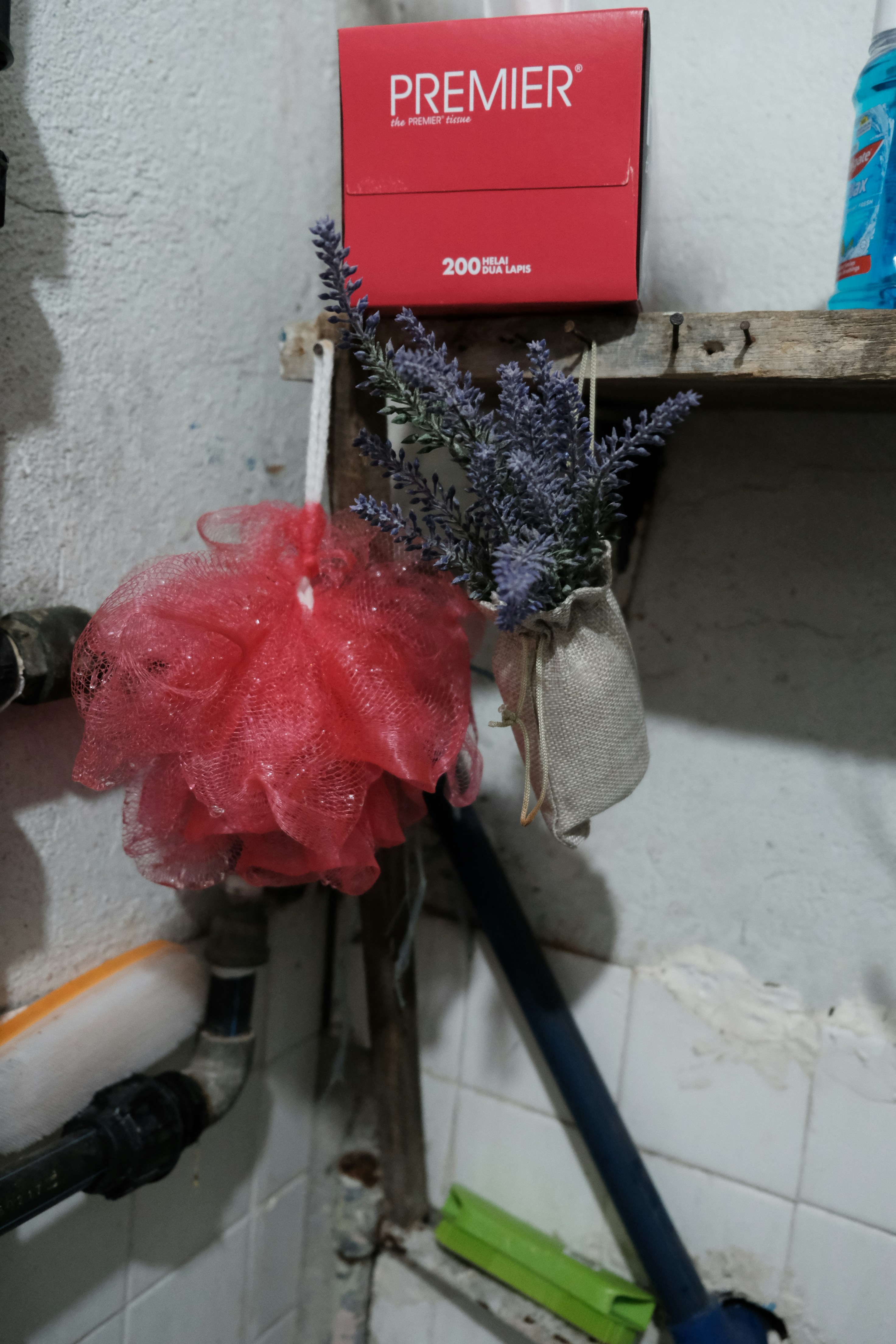 a red flower next to a red box on a wood shelf