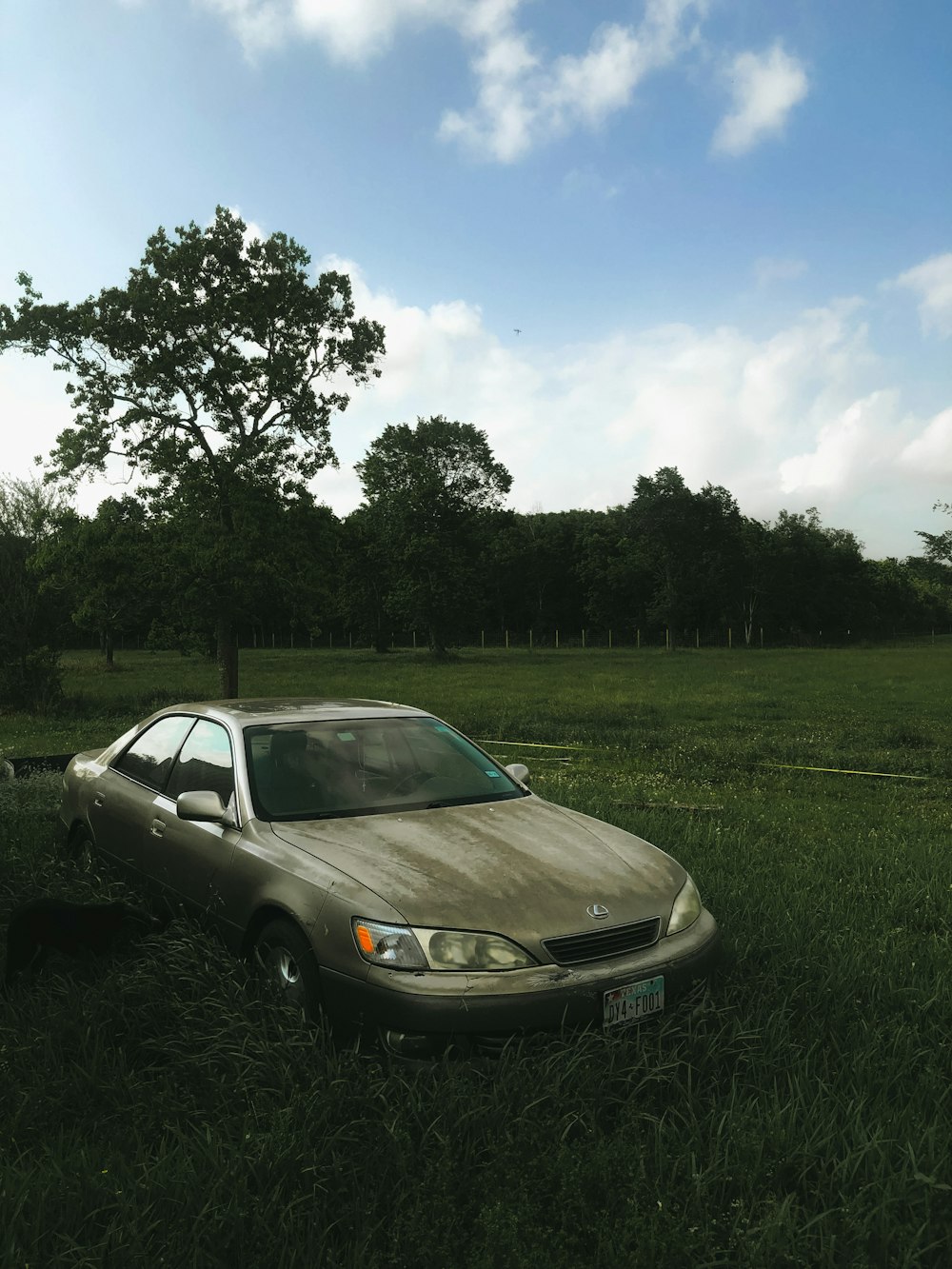 a car parked in a grassy field