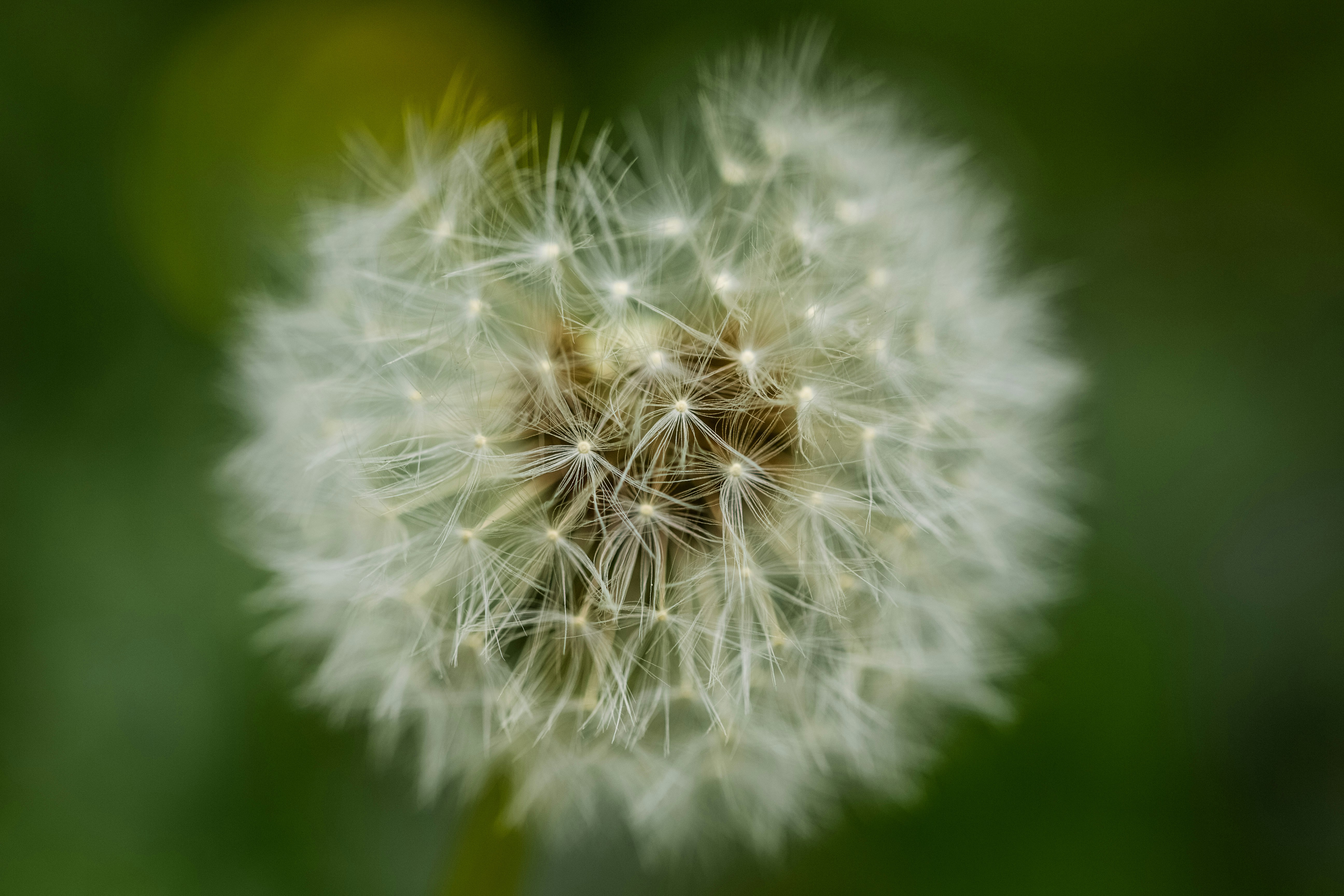 Photo by emmanuelphaeton