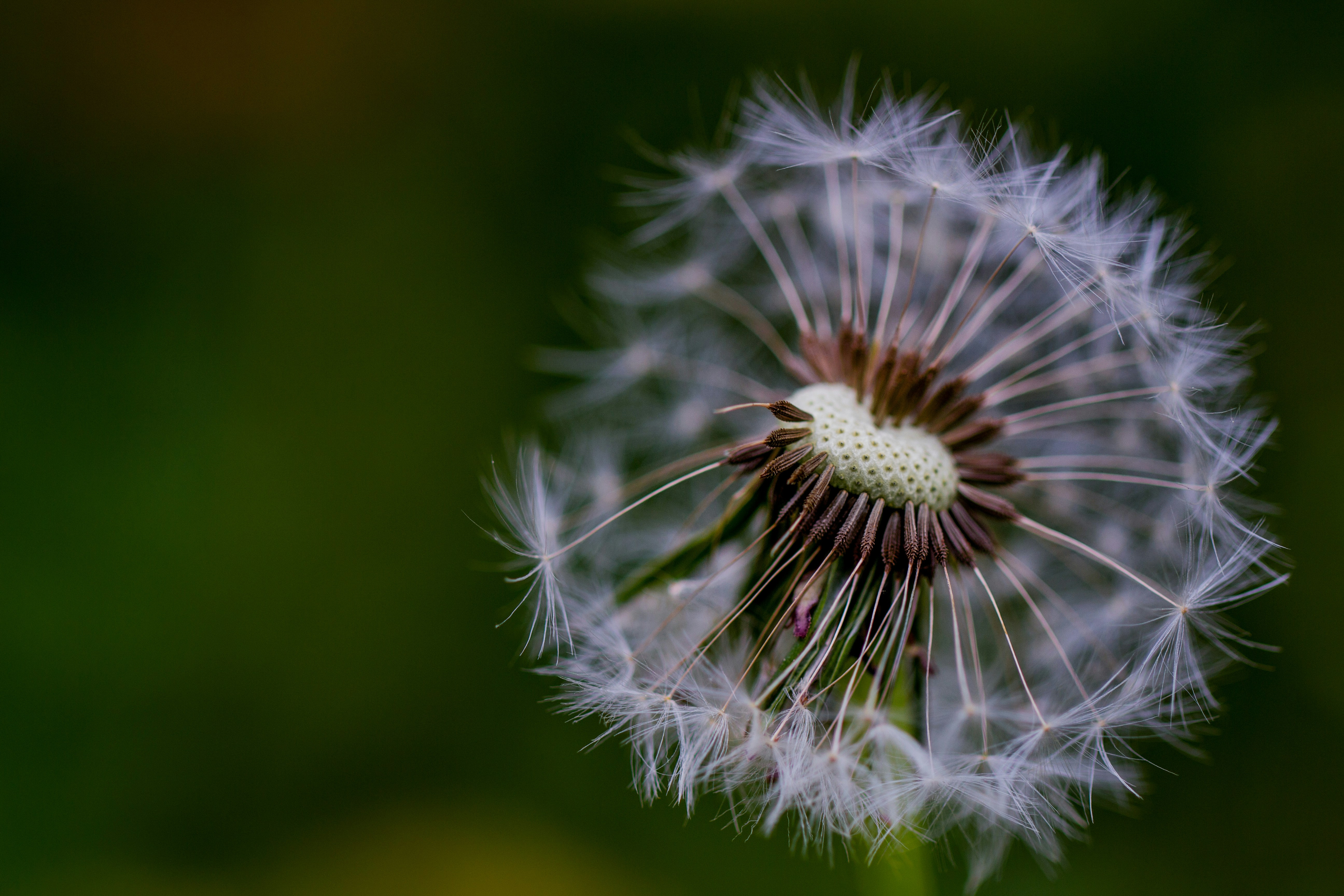 Photo by emmanuelphaeton