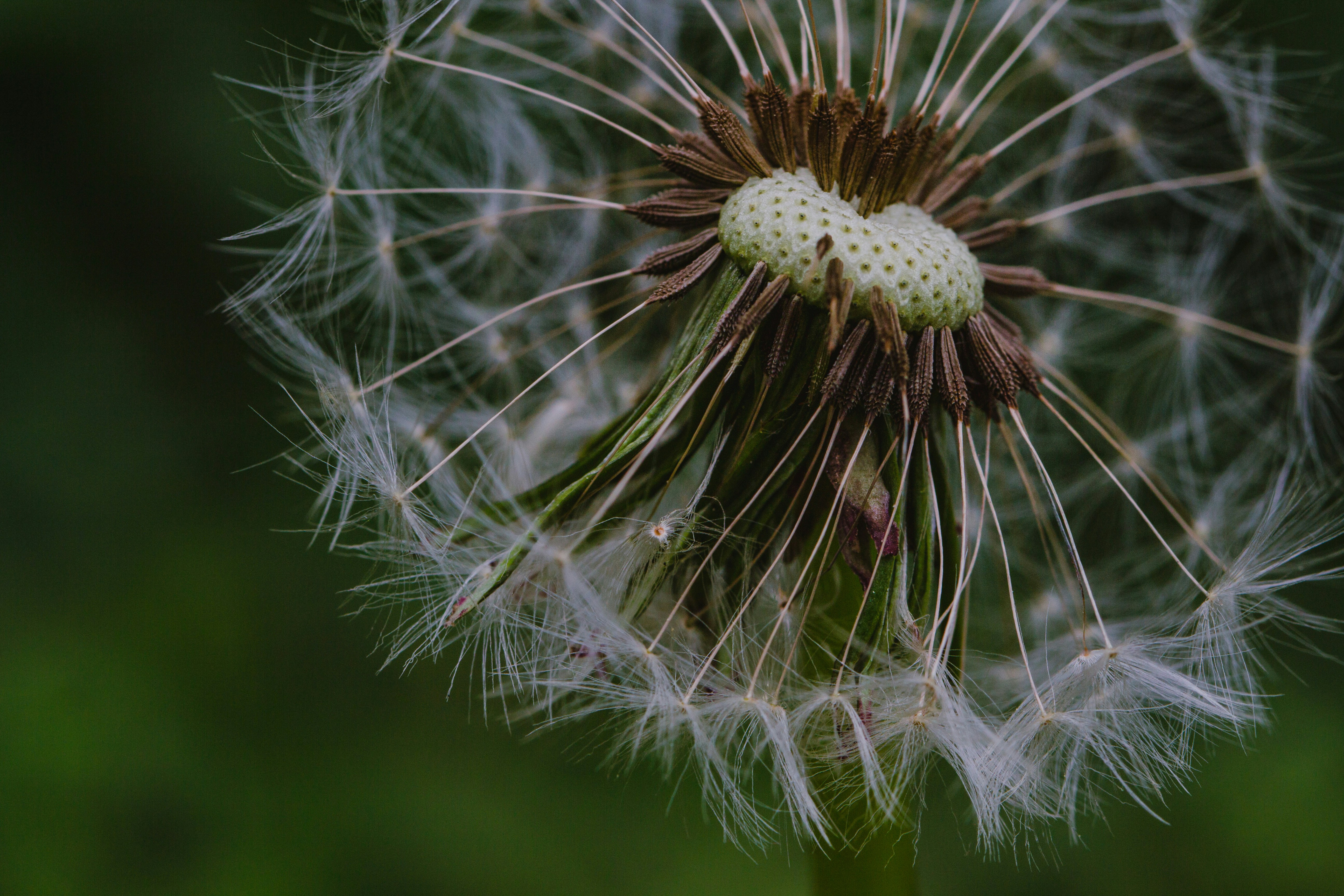 Photo by emmanuelphaeton