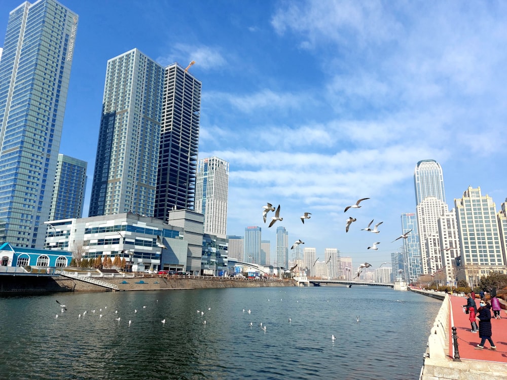 a group of birds fly over a body of water