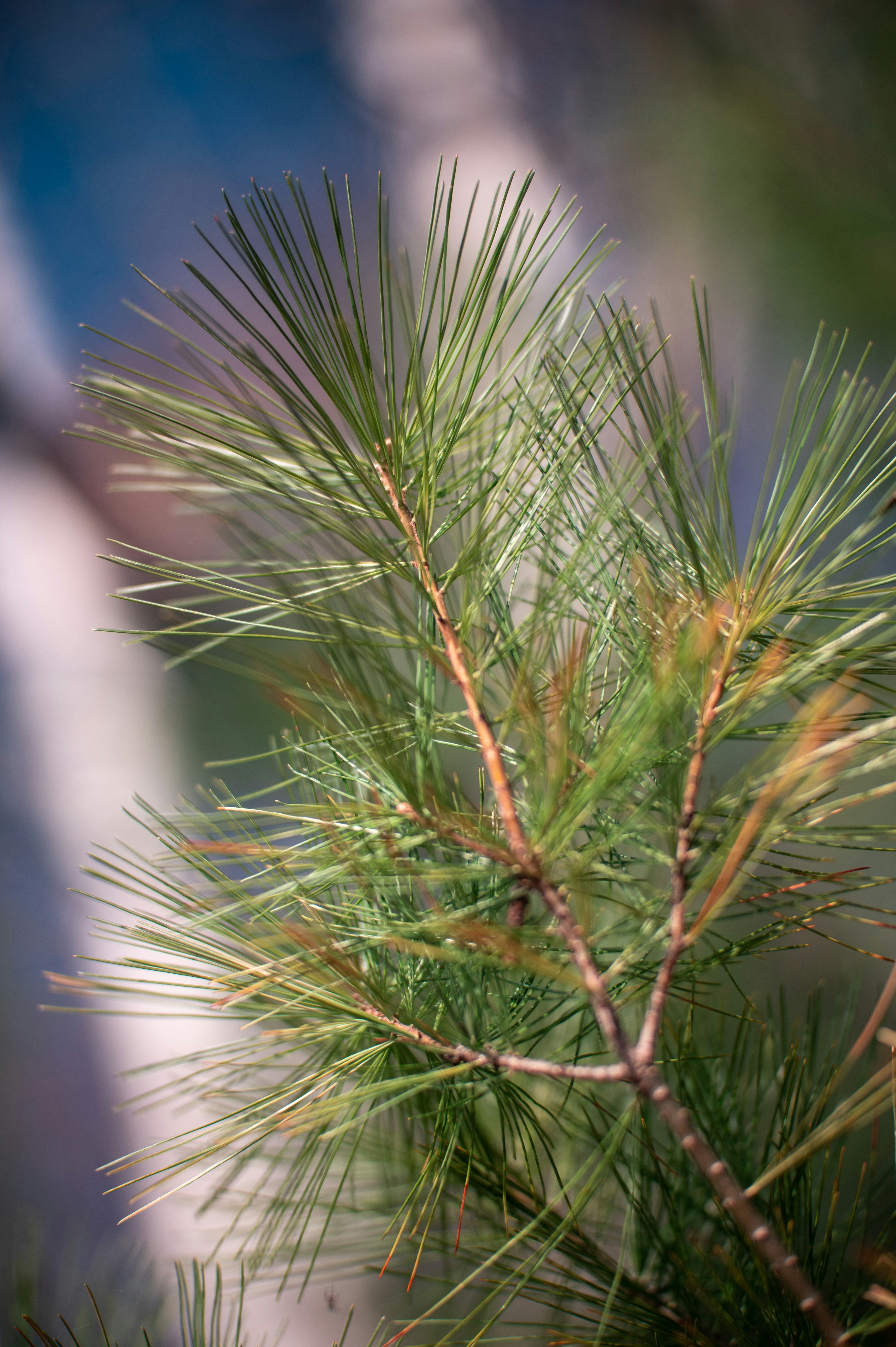 Photo by add_rien_20