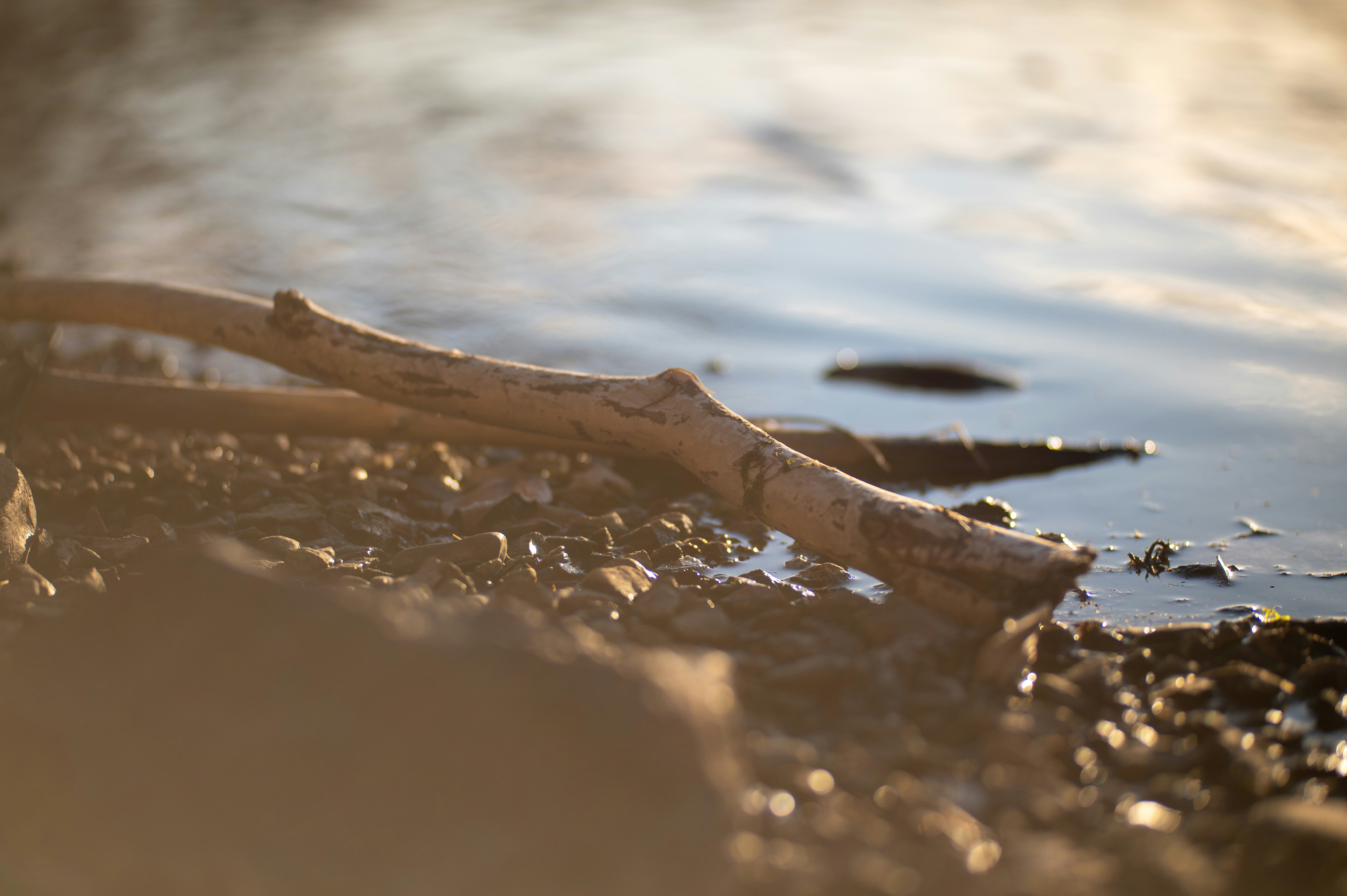 Photo by add_rien_20