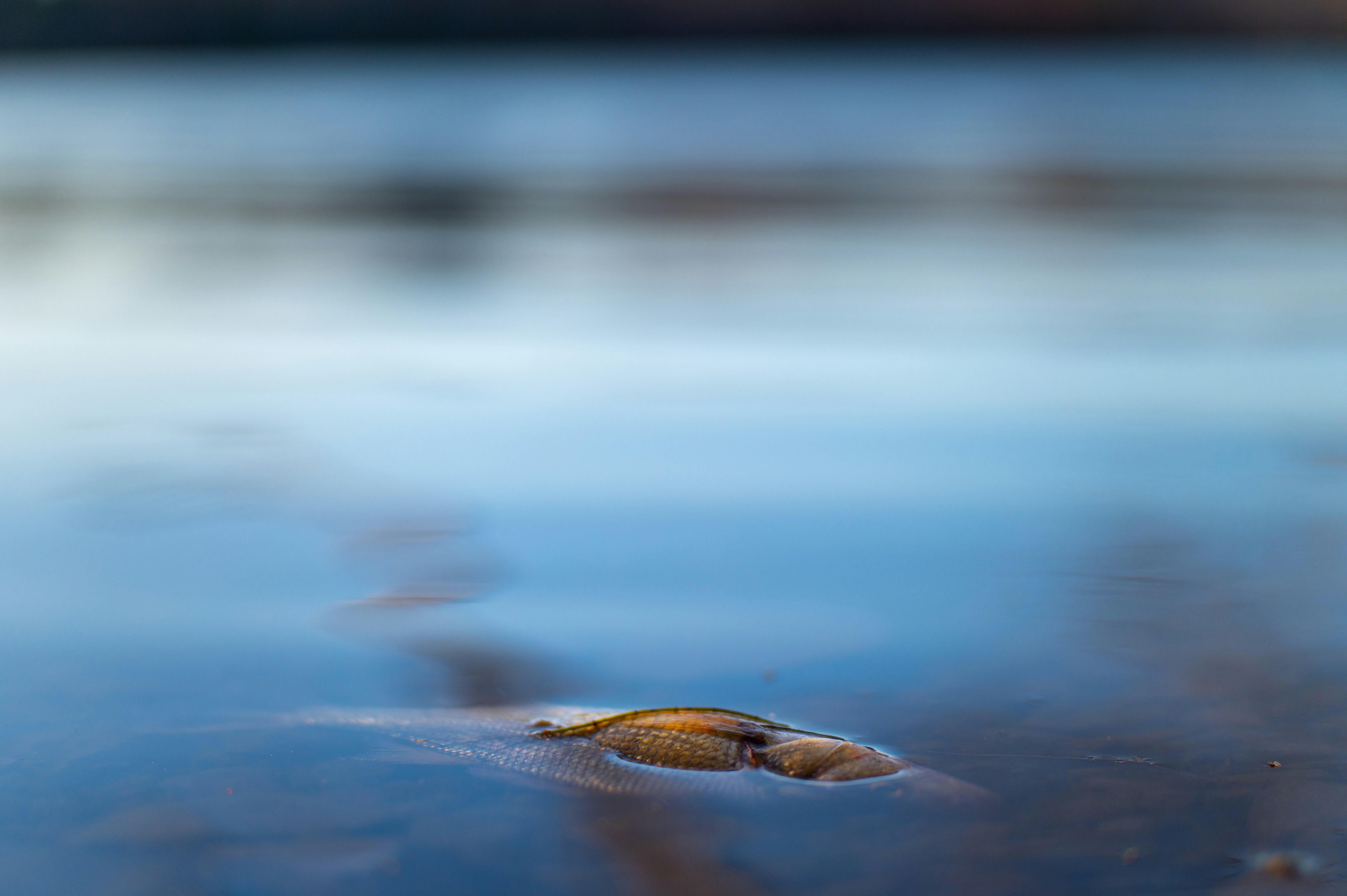 Photo by add_rien_20