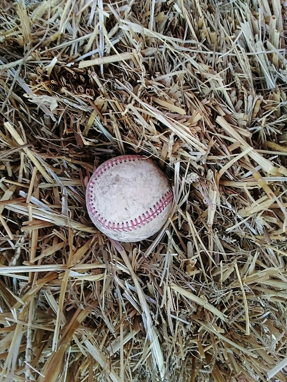 Ein Baseball im Gras