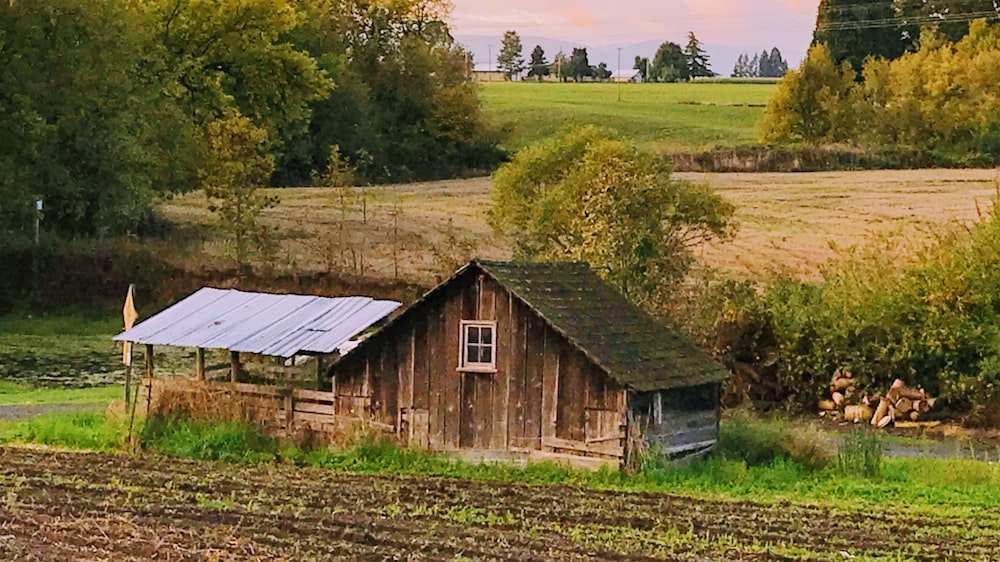 a wooden house in a field