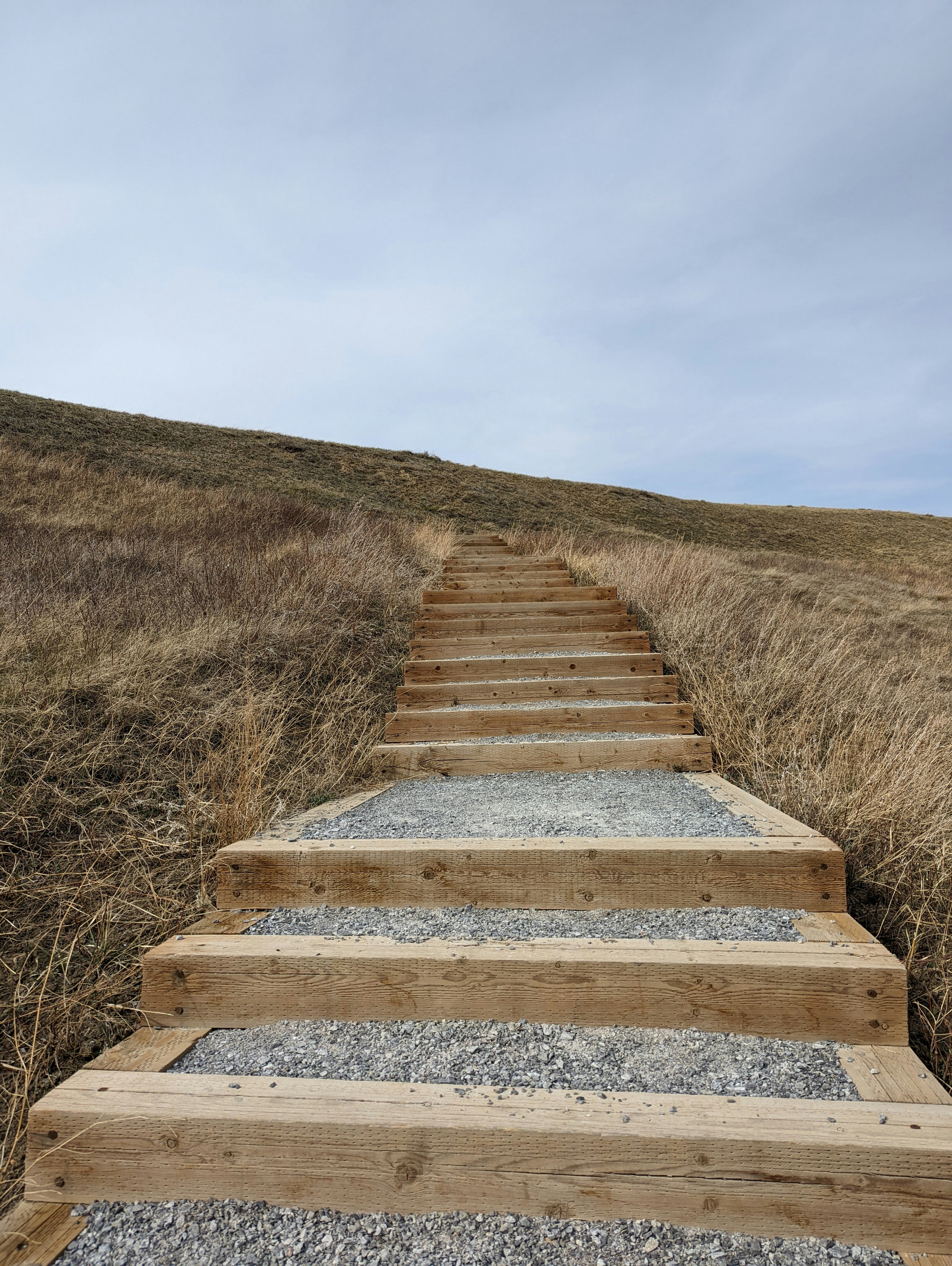 a wooden staircase leading up to a hill
