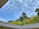 Traditional architecture is captured in the foreground with intricately designed tile roofs and vibrant decorative elements. Lush greenery and tall trees fill the background under a bright, slightly clouded blue sky.