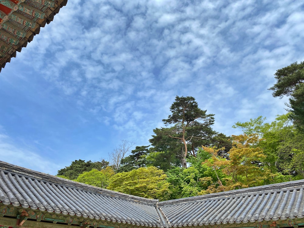 a roof with trees and blue sky
