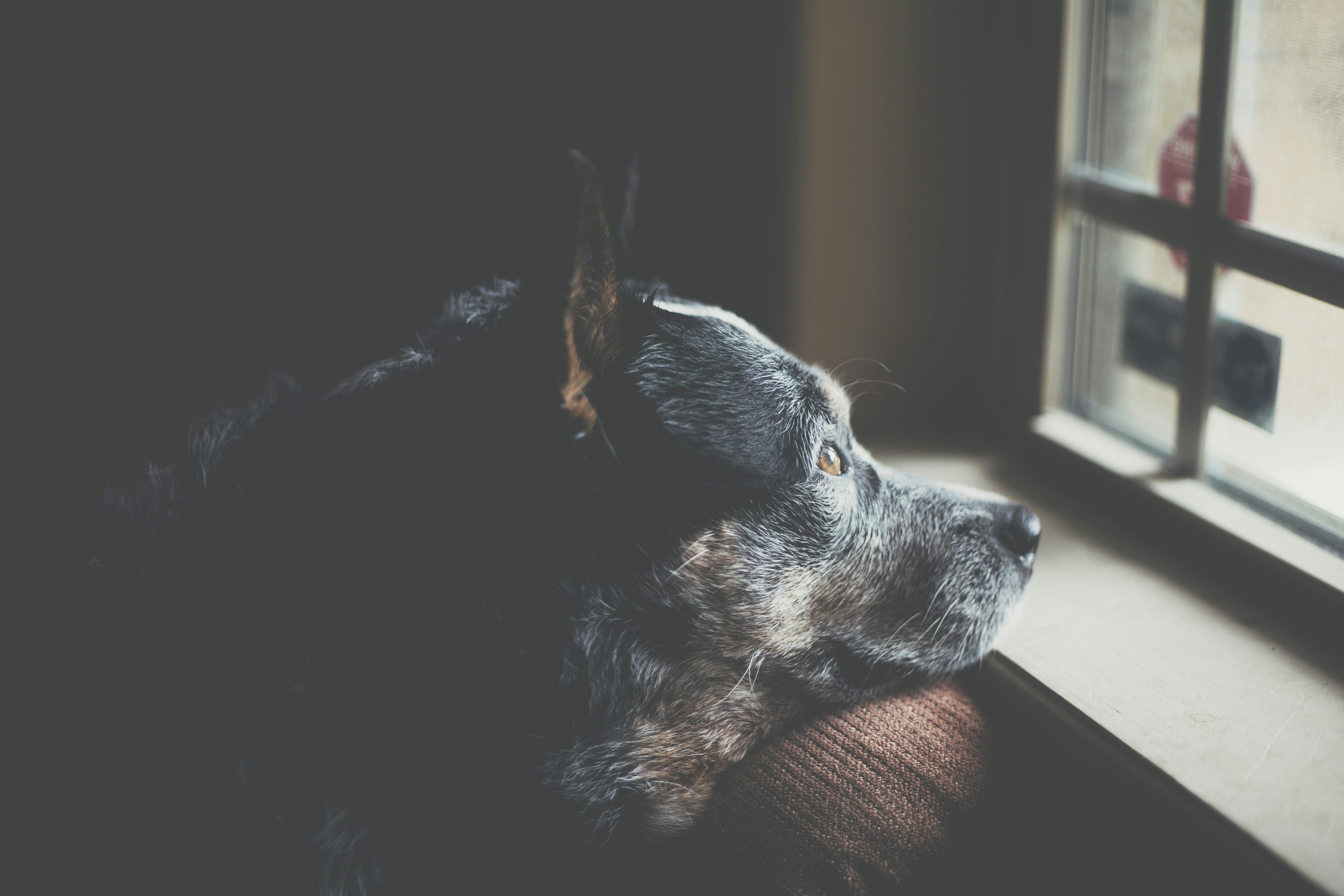 Photo by gerardtrichard