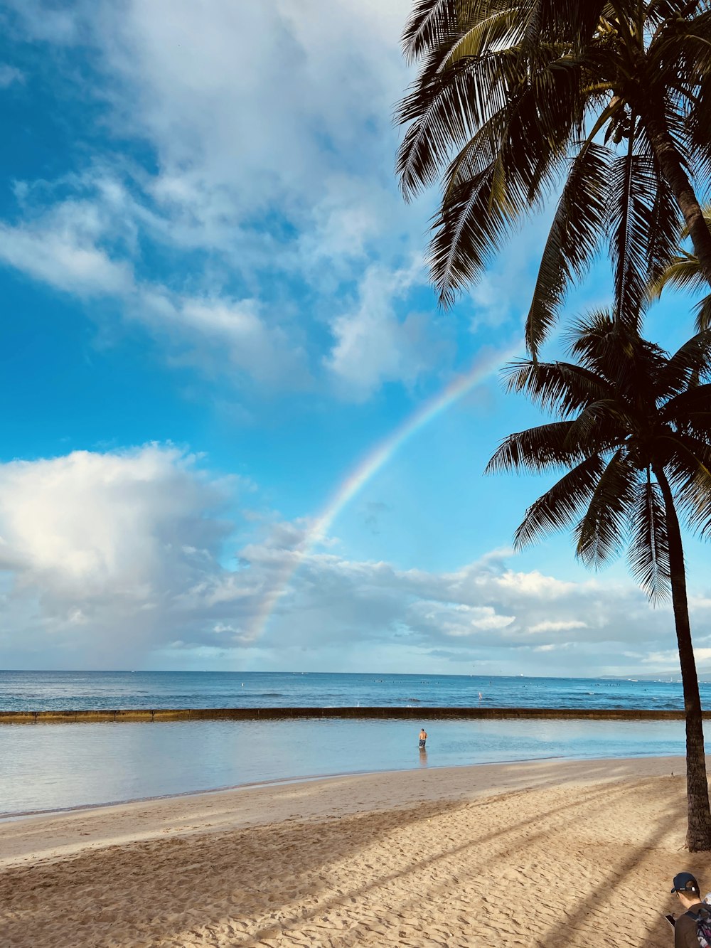 a person standing on a beach