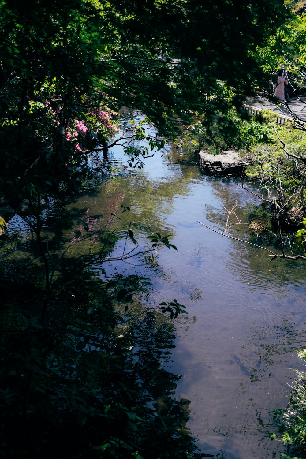 un río con un puente y árboles