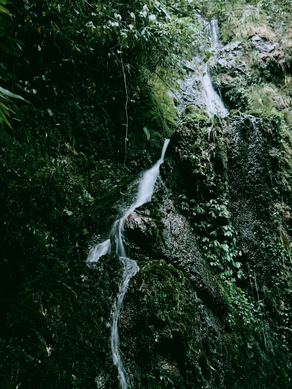 a waterfall in a forest