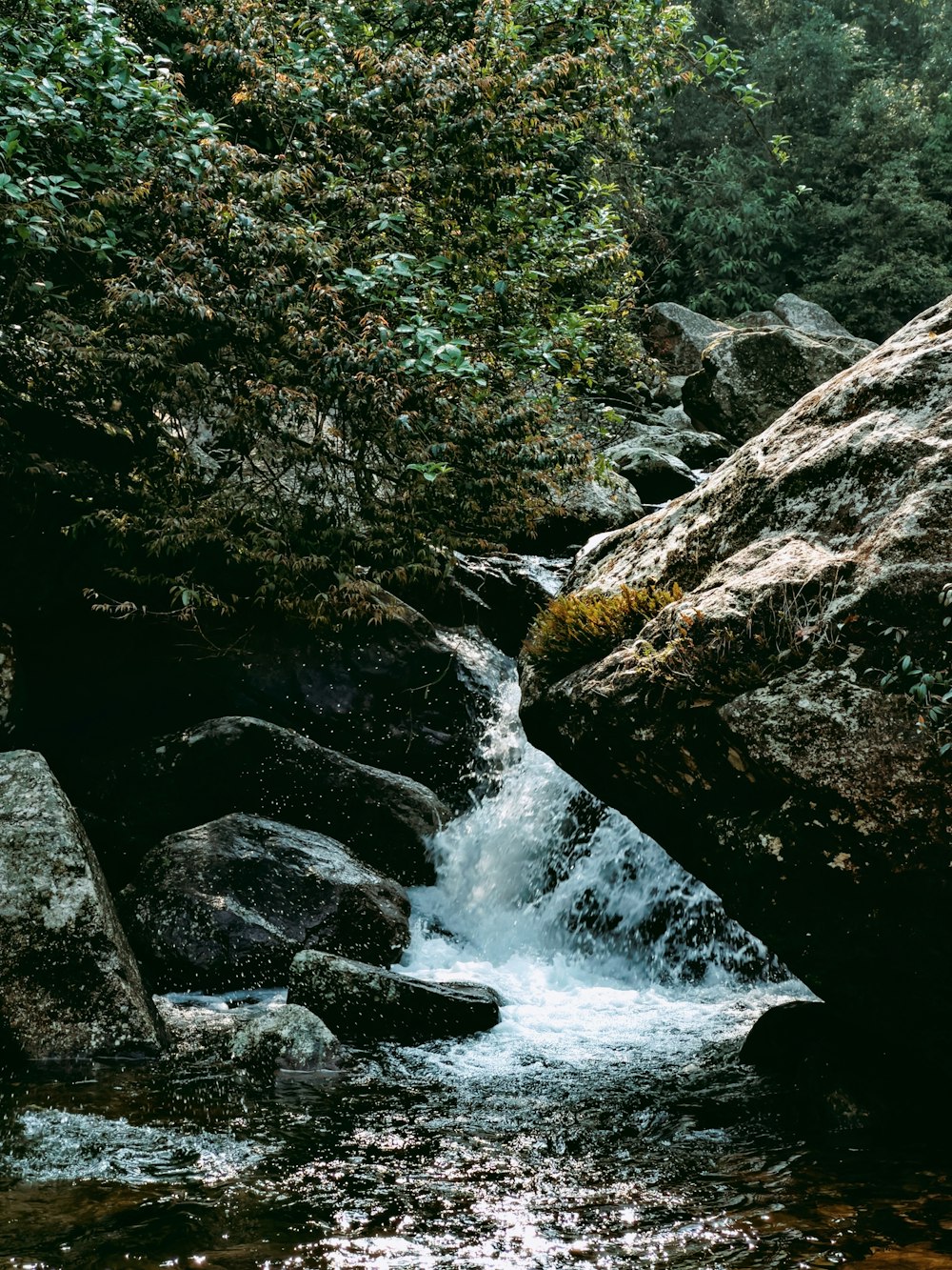 a waterfall in a forest