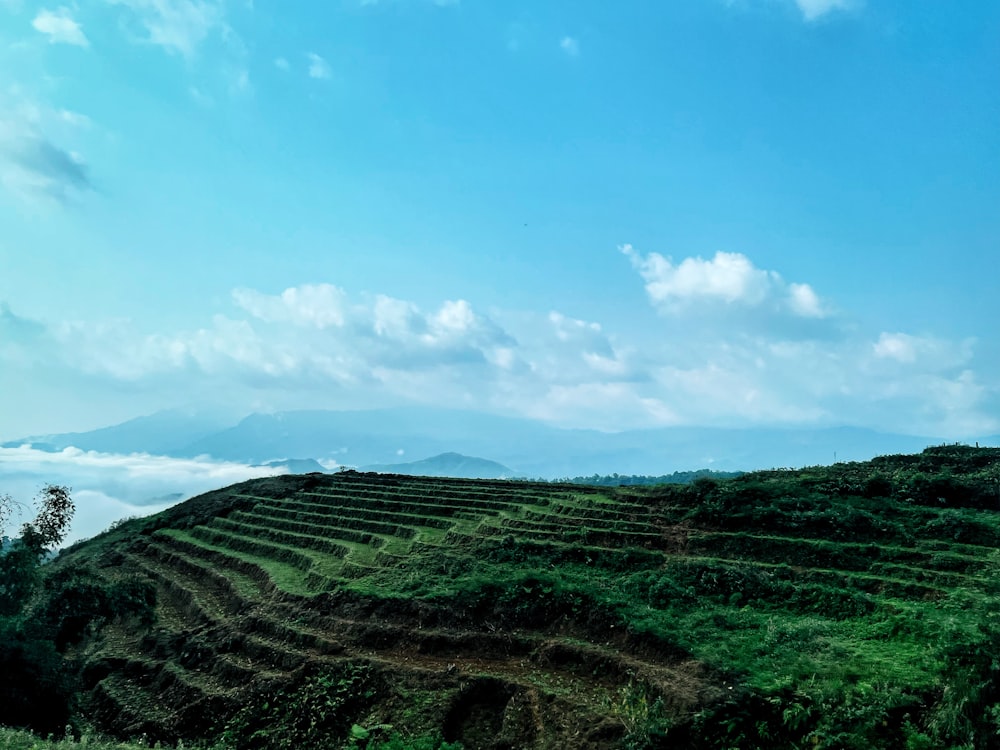 a green hilly landscape