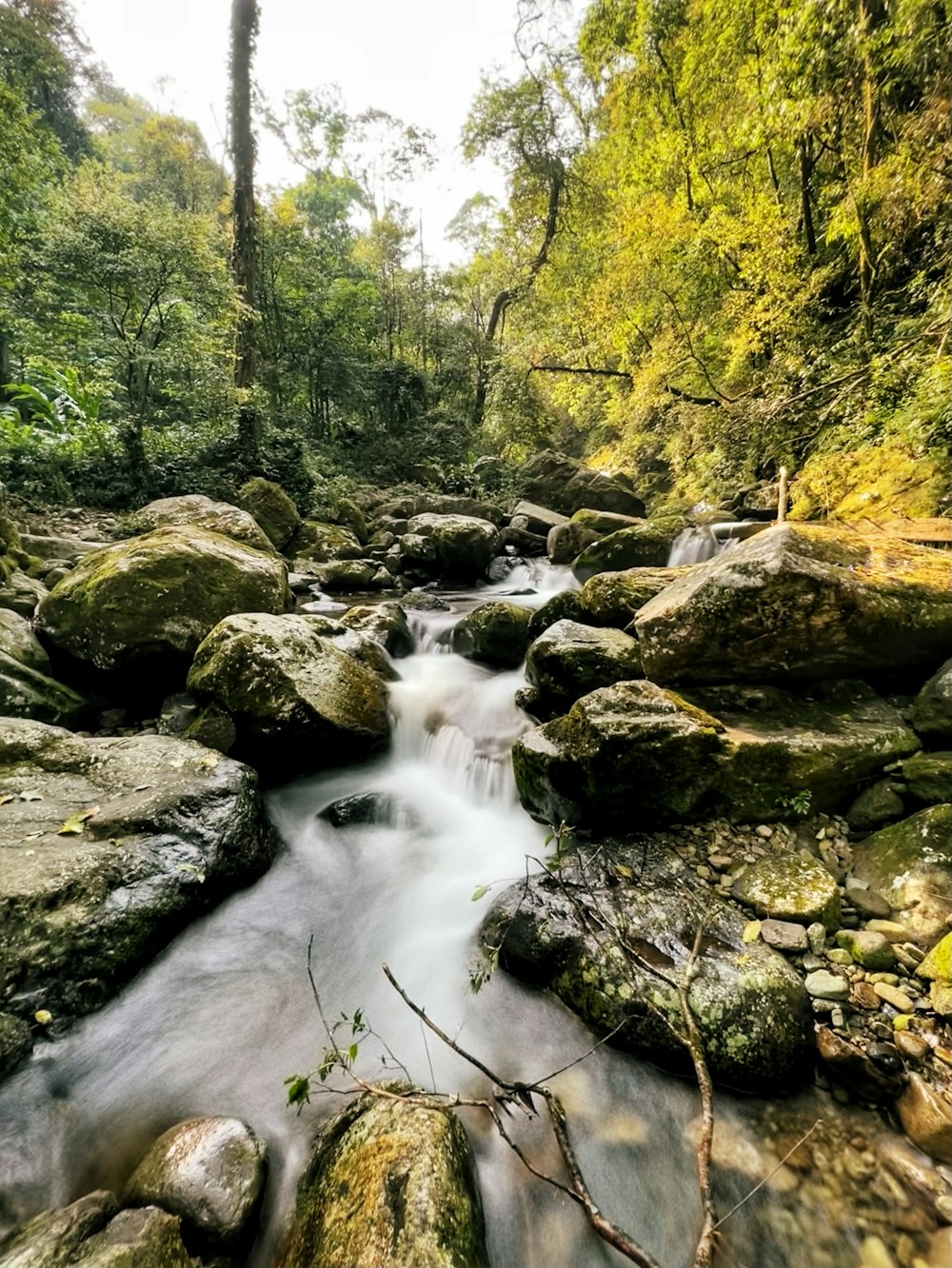 a river with rocks and trees