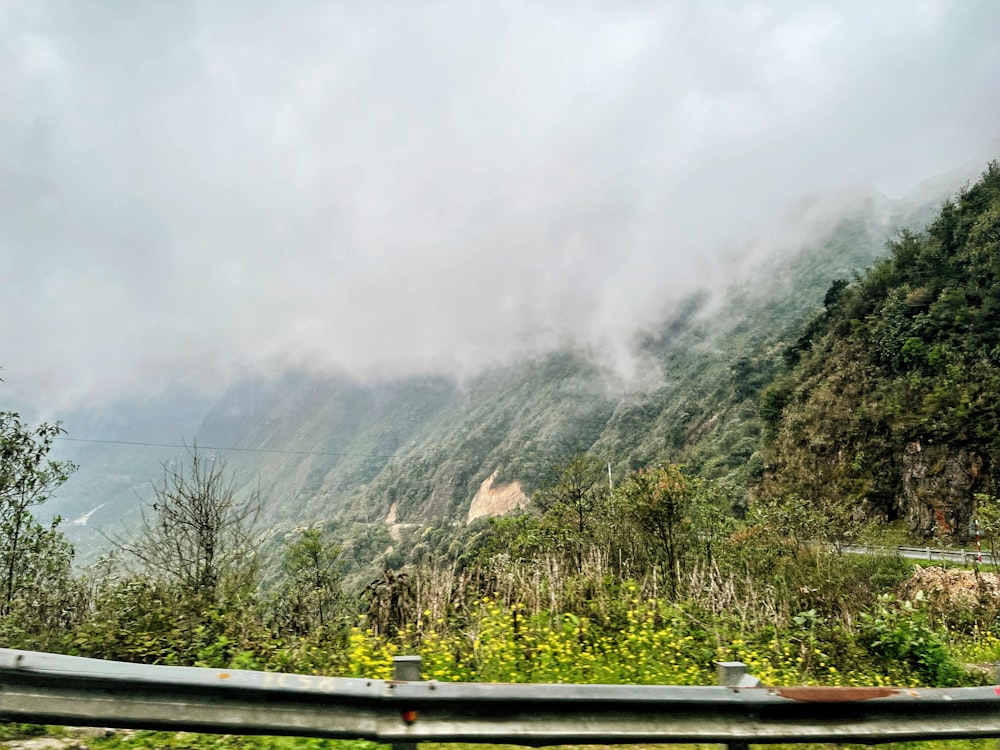 a view of a mountain with trees and a road