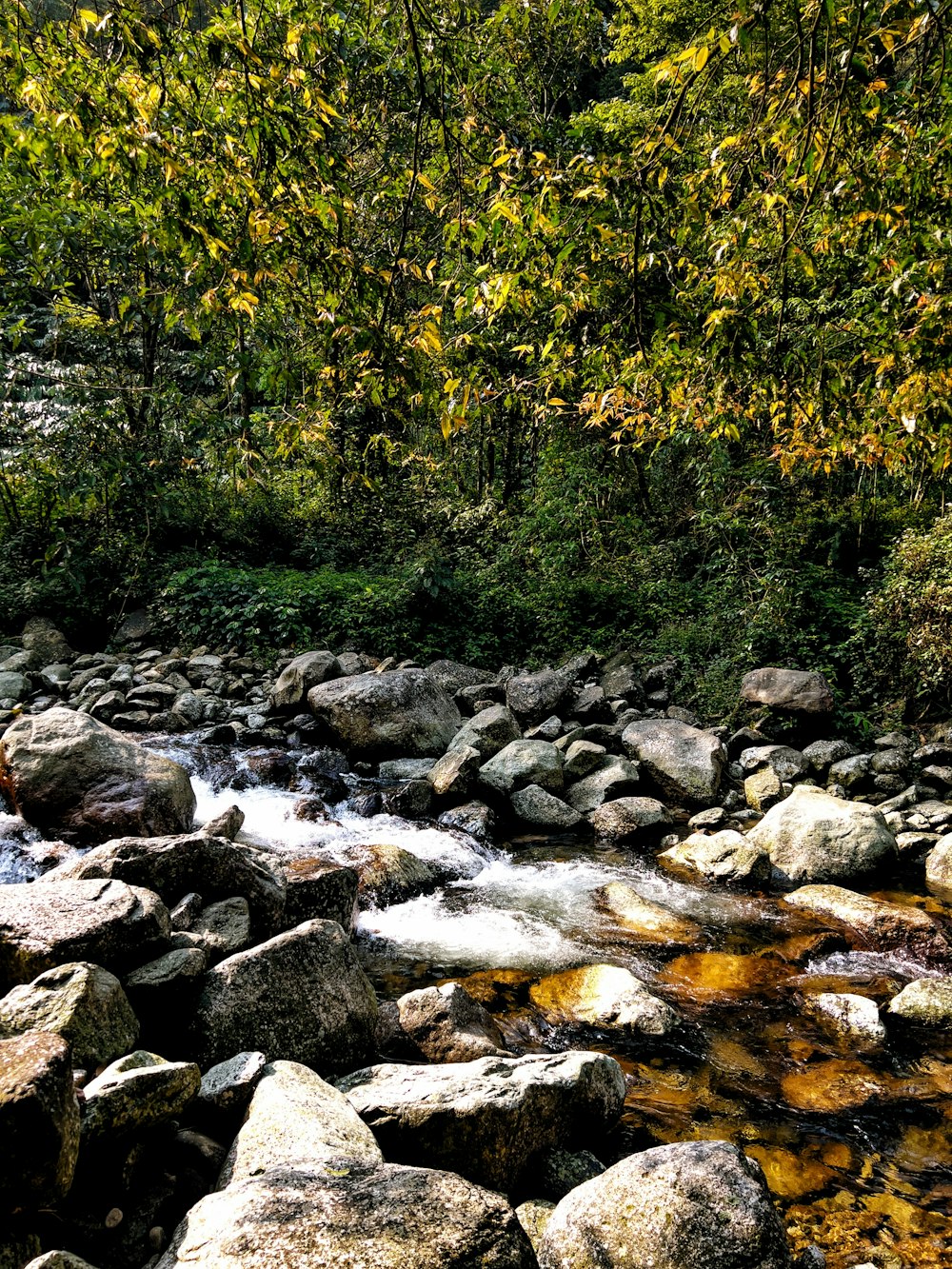 a stream of water surrounded by rocks