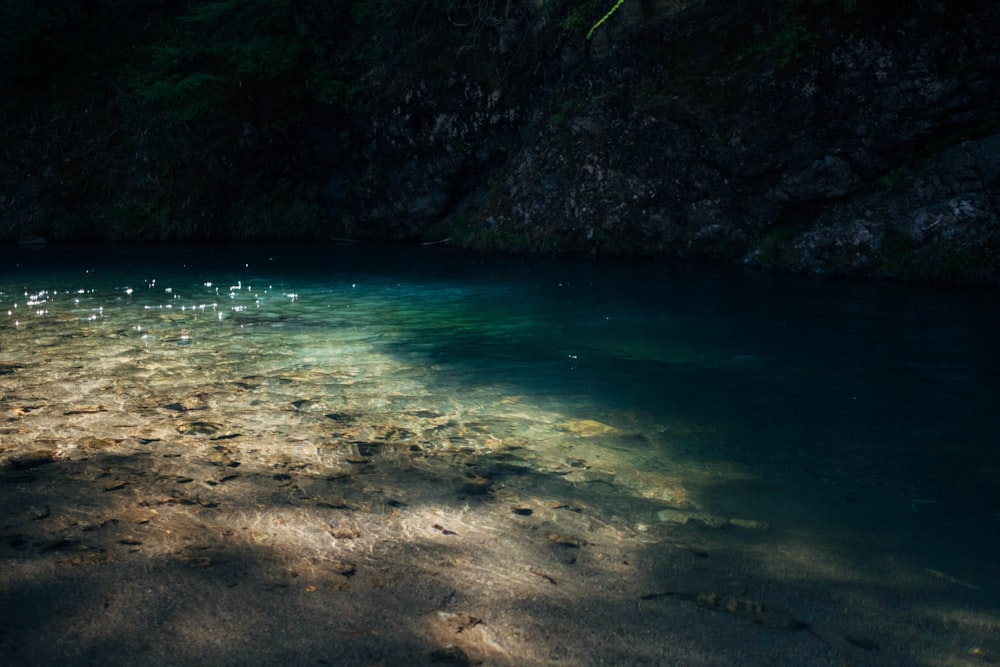 a body of water with rocks and plants around it