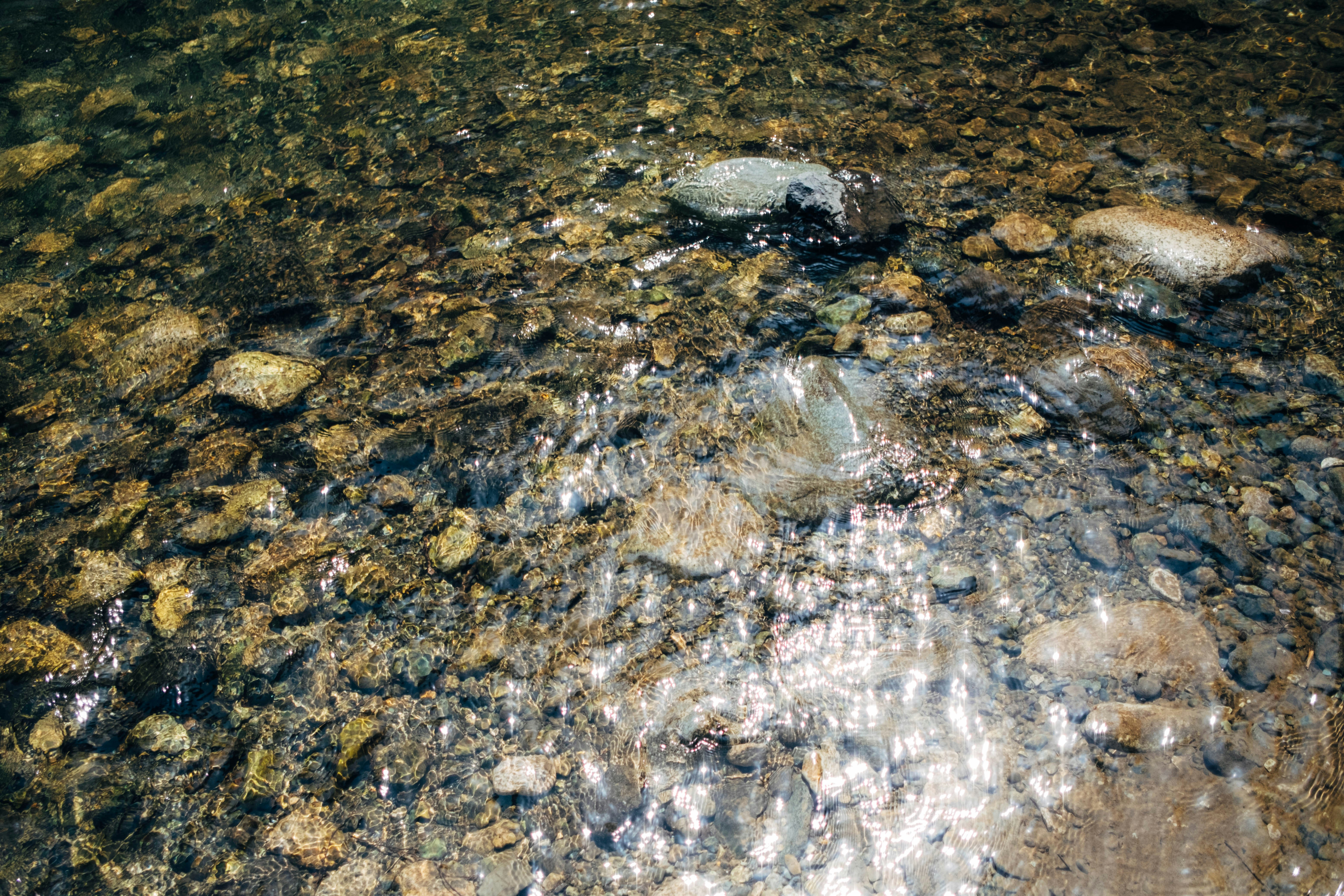 鹿島 アントラーズ 新 ユニフォーム 