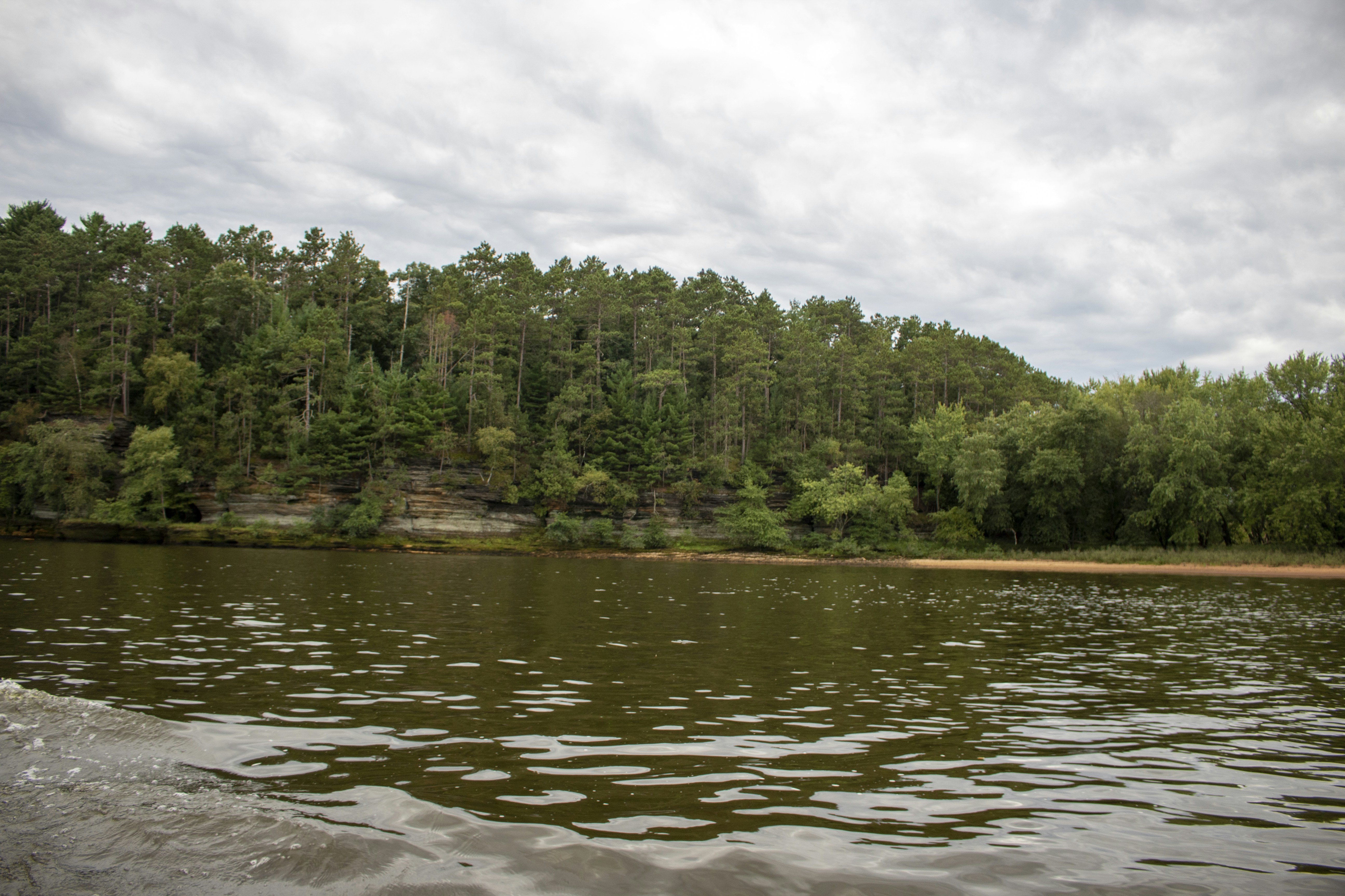 a body of water with trees in the back