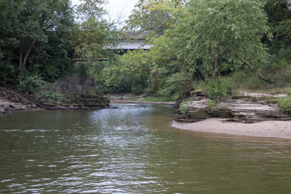 a river with trees and a house in the background