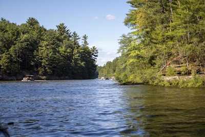 A serene boat gliding through calm waters surrounded by lush greenery.