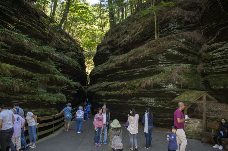 Visitors walking a fenced boardwalk into a narrow, moss-streaked sandstone slot canyon shaded by tall pines